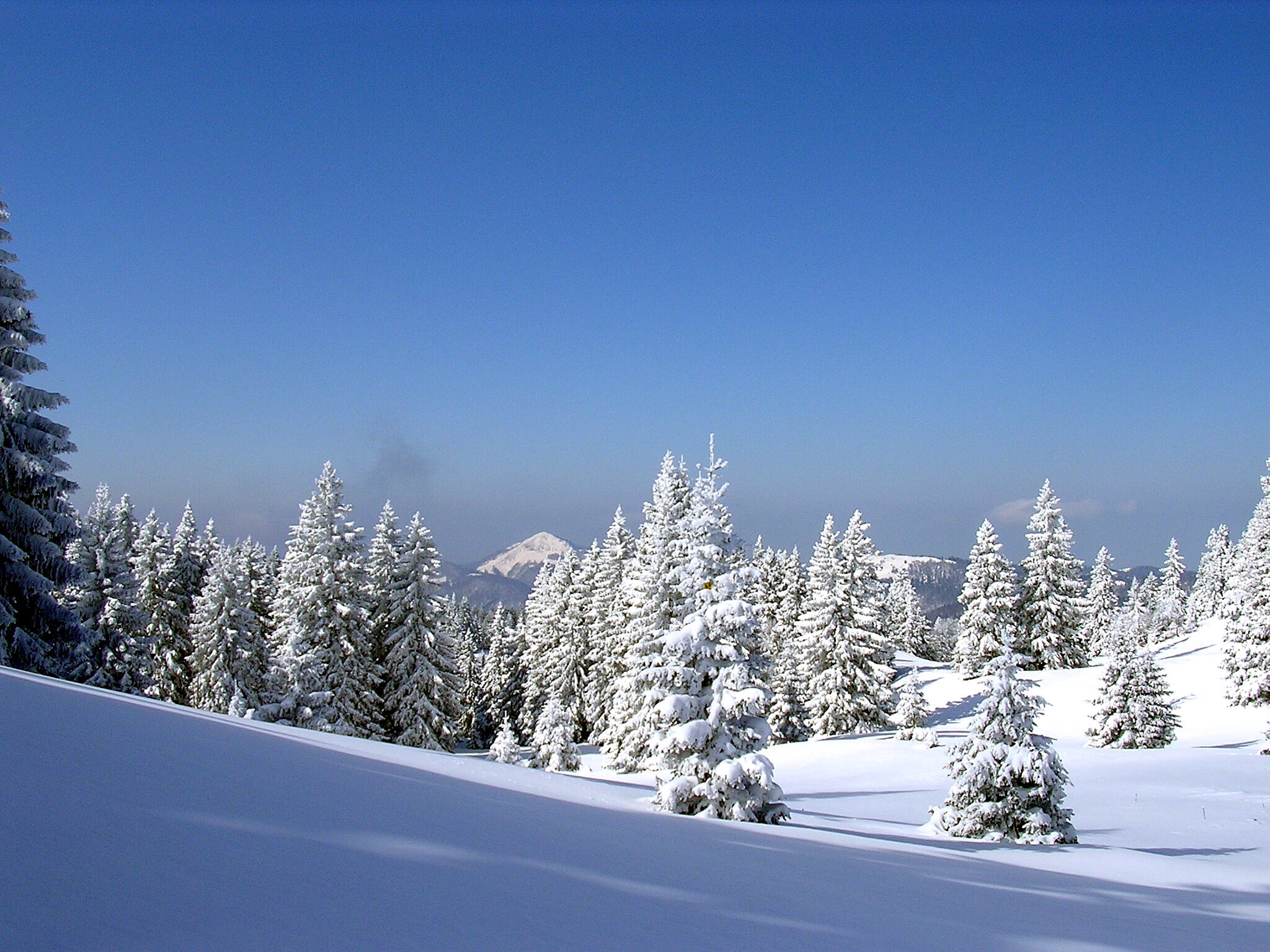 paysages montagnes du jura_Jack Carrot (5)  Ⓒ  Jack Carrot