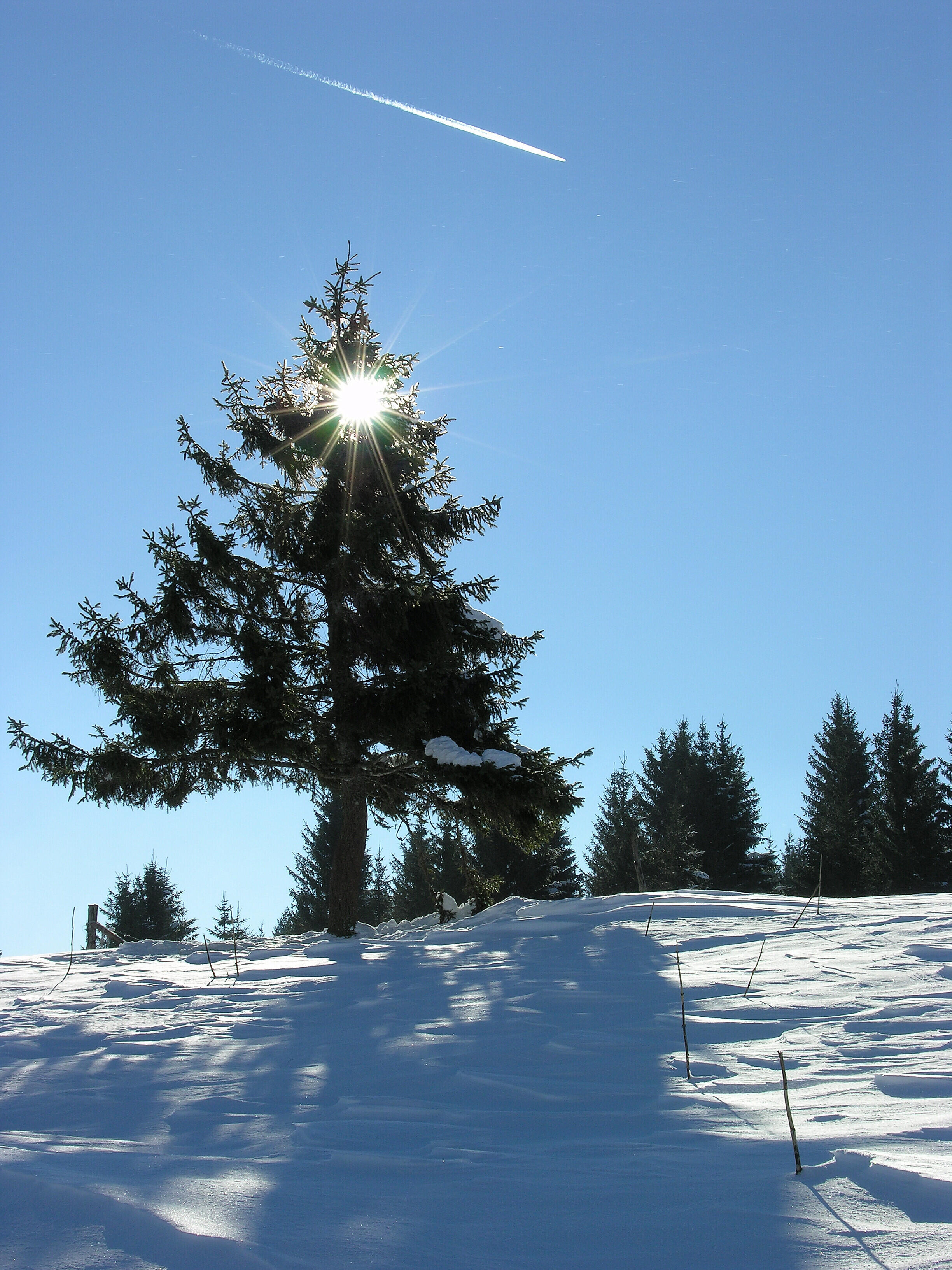 paysages montagnes du jura_Jack Carrot (10)  Ⓒ  Jack Carrot