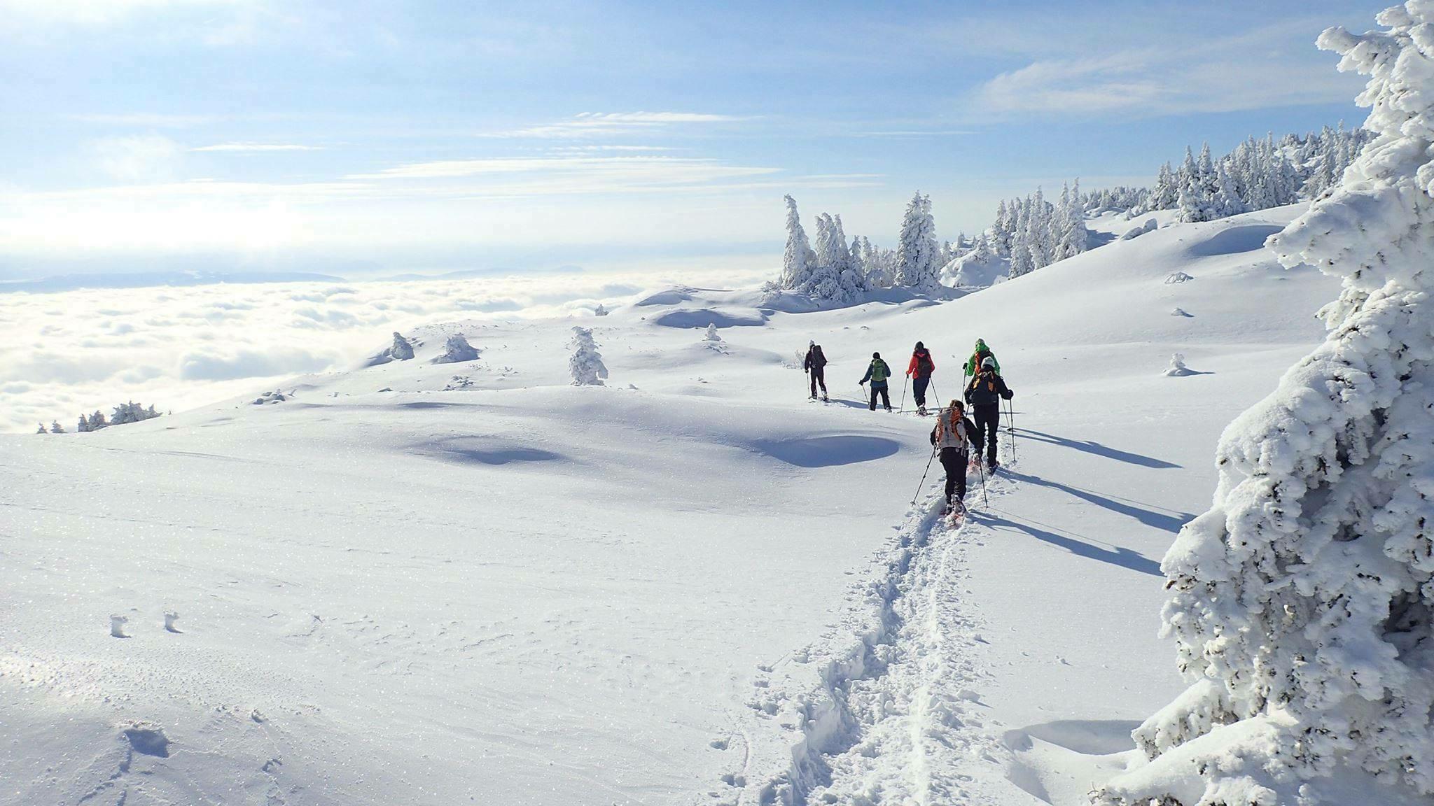 RANDONNEE RAQUETTES  Ⓒ  ECOLE DE SKI INTERNATIONALE