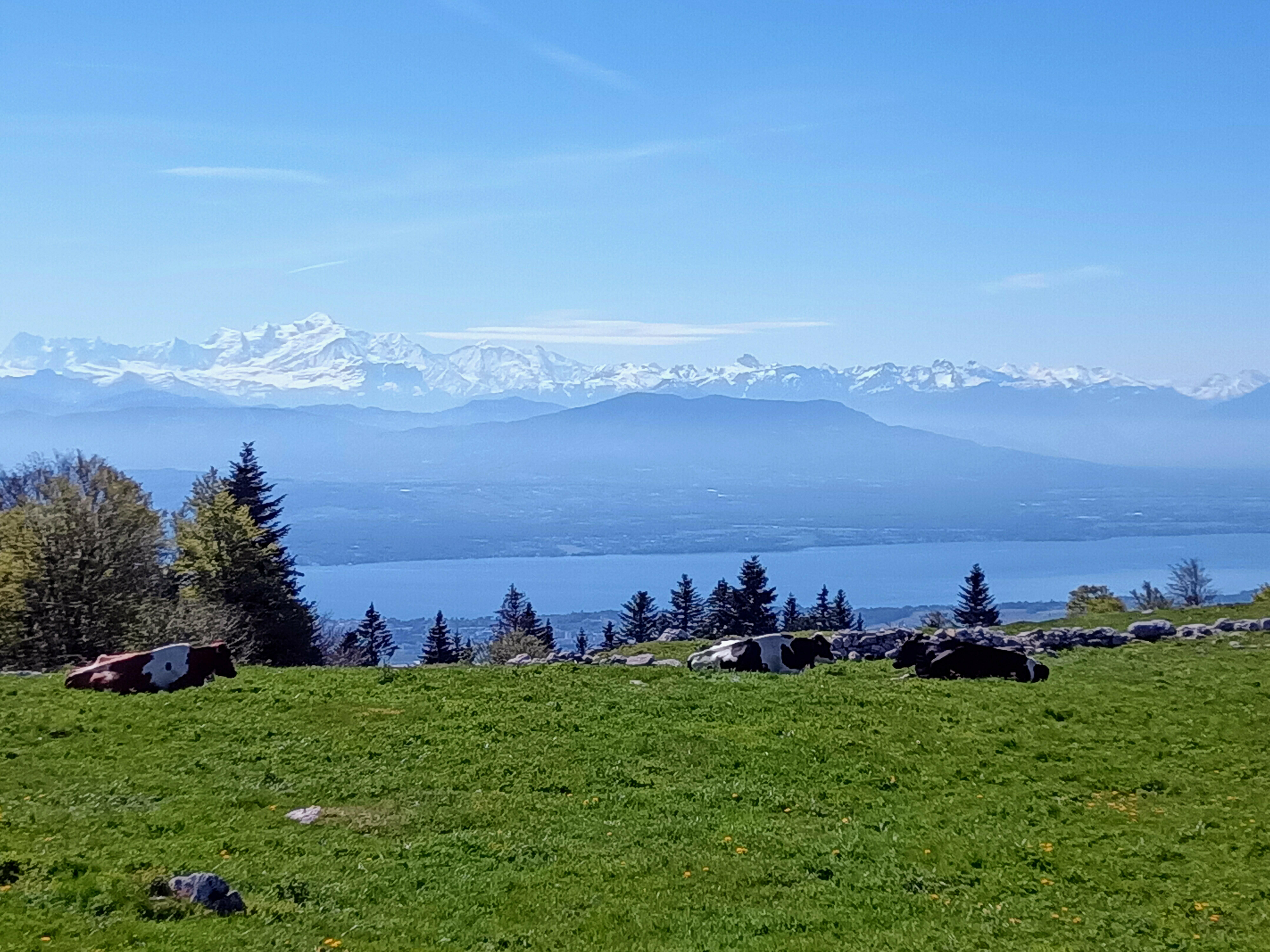Fruitières de Nyon   Ⓒ  Easyfatbike