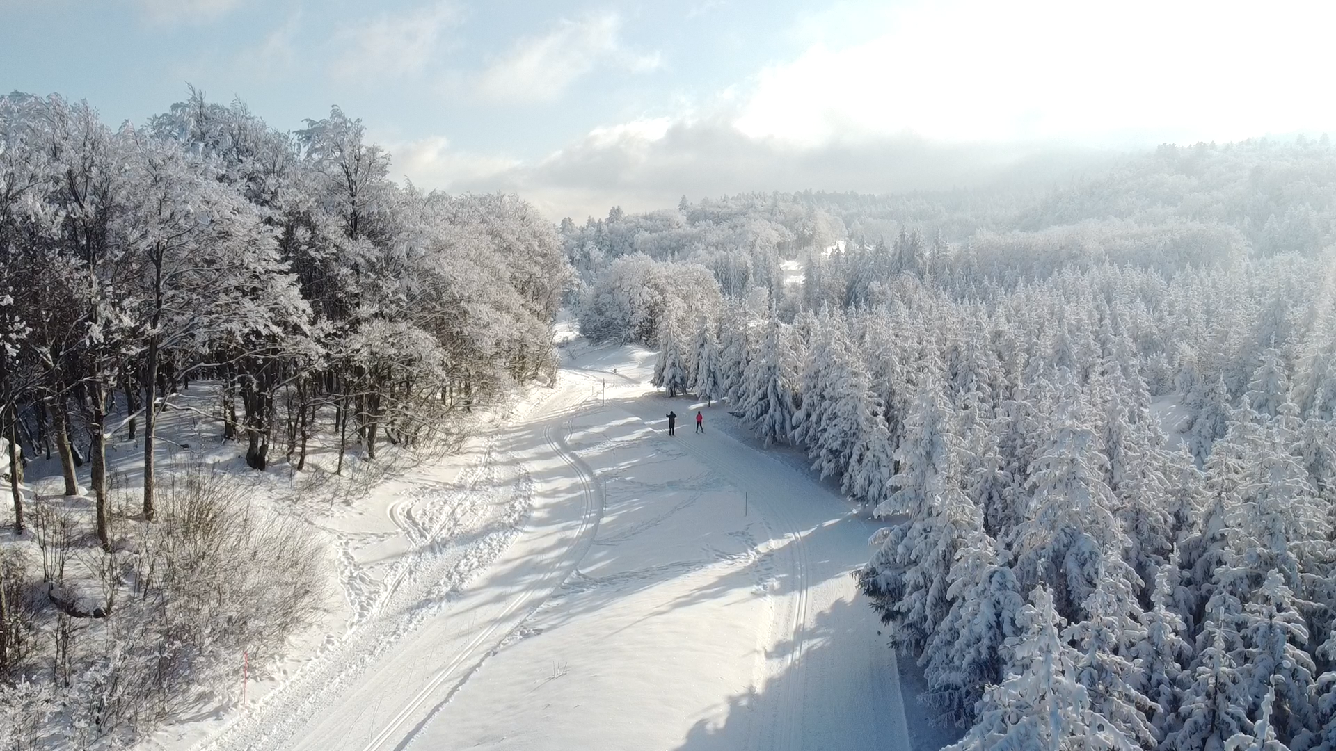 ski sur lyand  Ⓒ   