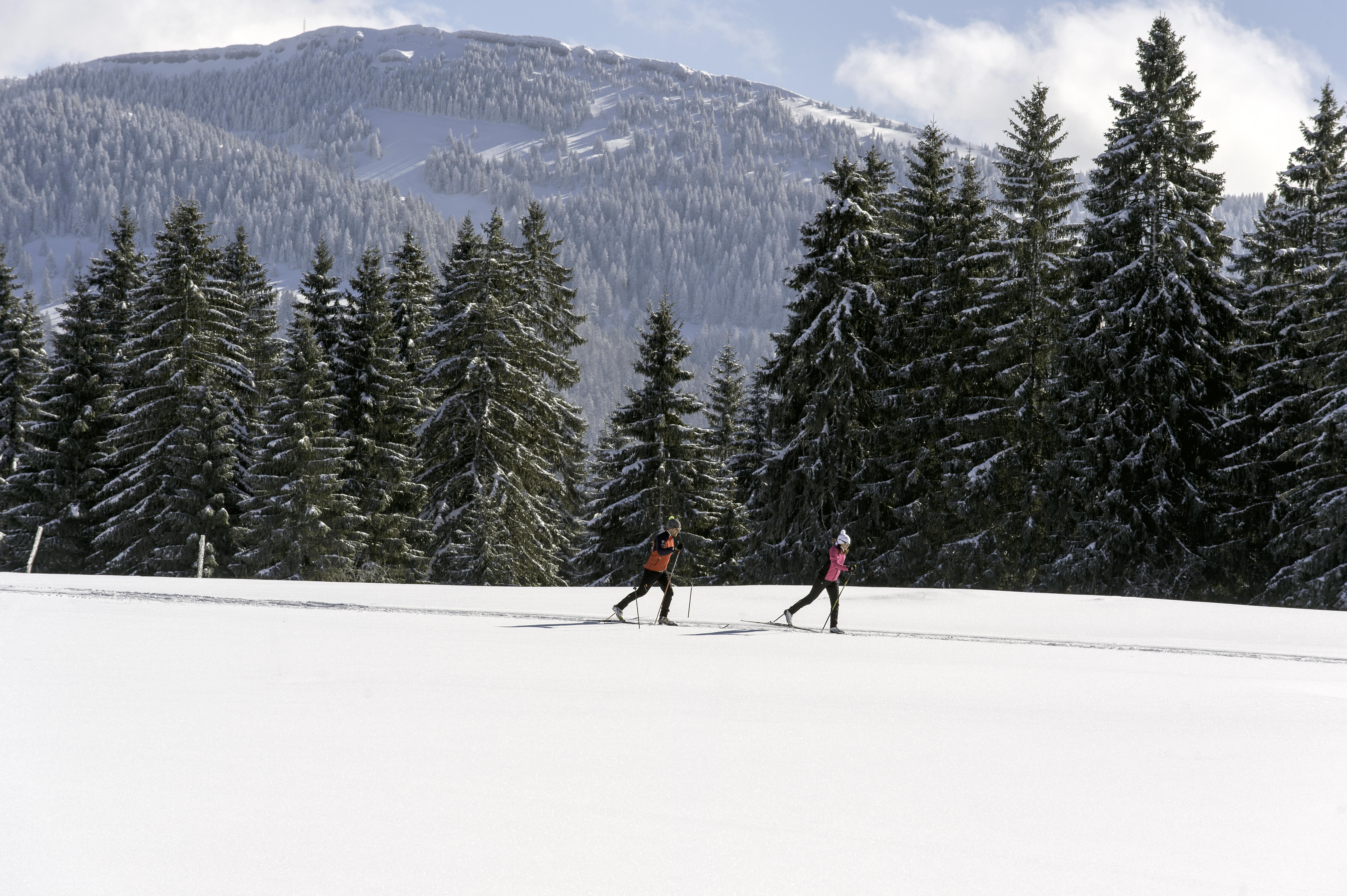 photos-nordiques  Ⓒ Laurent Cheviet (132) 