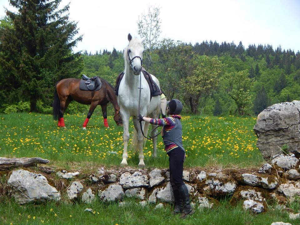 508348996_10060623594053263_8640632998783439076_n  Ⓒ  CENTRE EQUESTRE TINGUELY