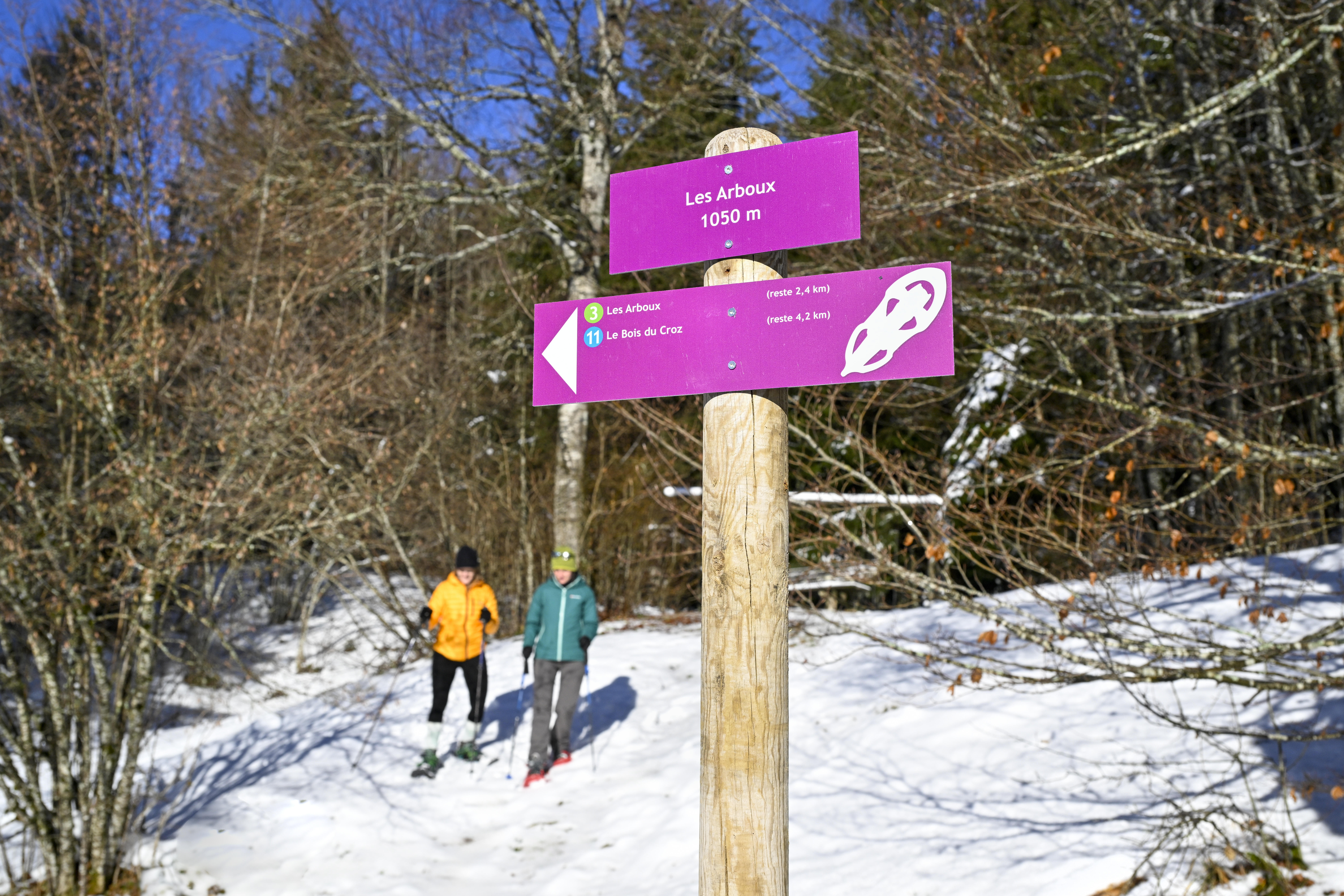 balisage raquettes  Ⓒ Laurent Cheviet (5) 