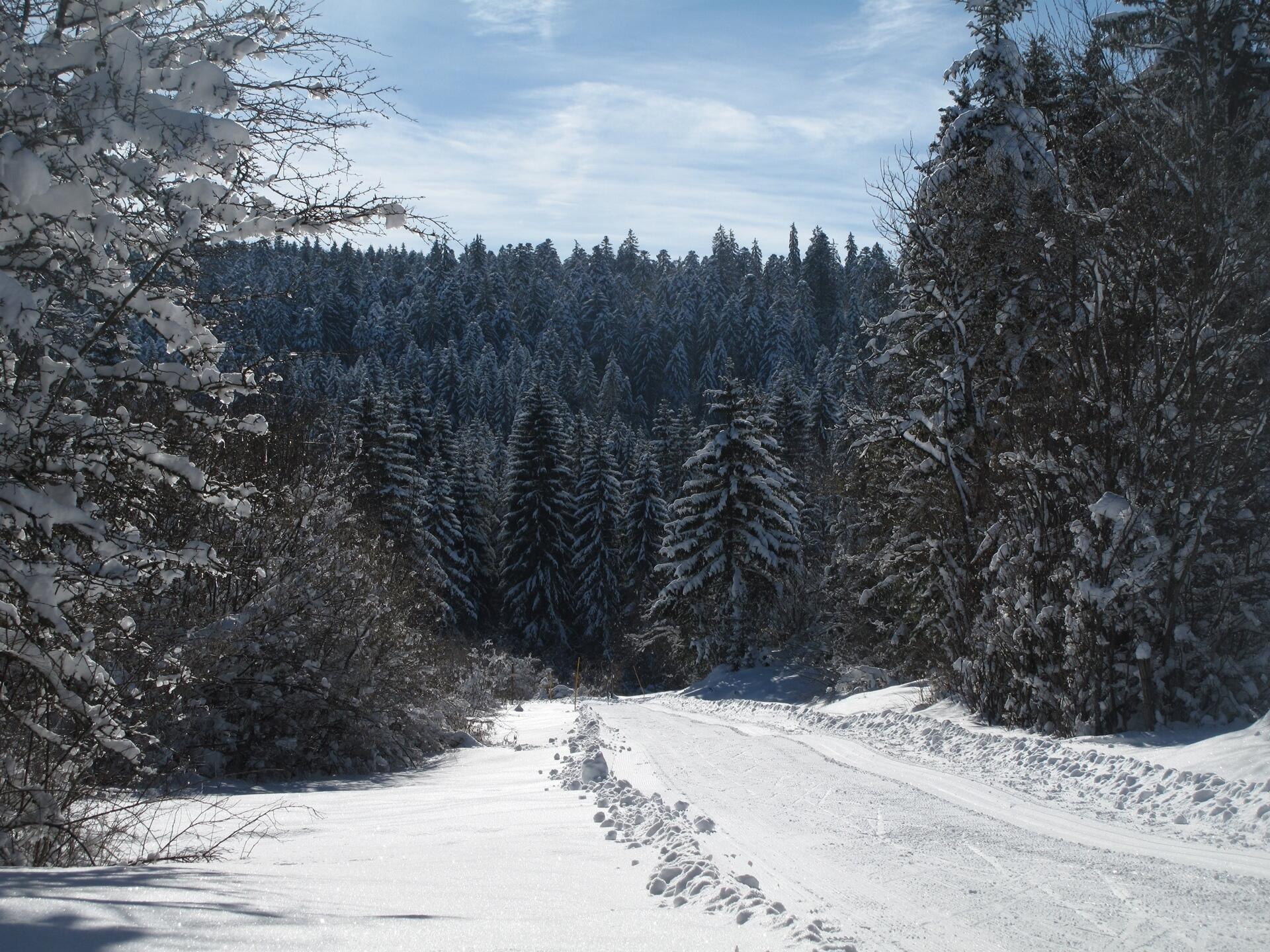 Paysages du Grandvaux  Ⓒ  Ot Haut Jura Grandvaux