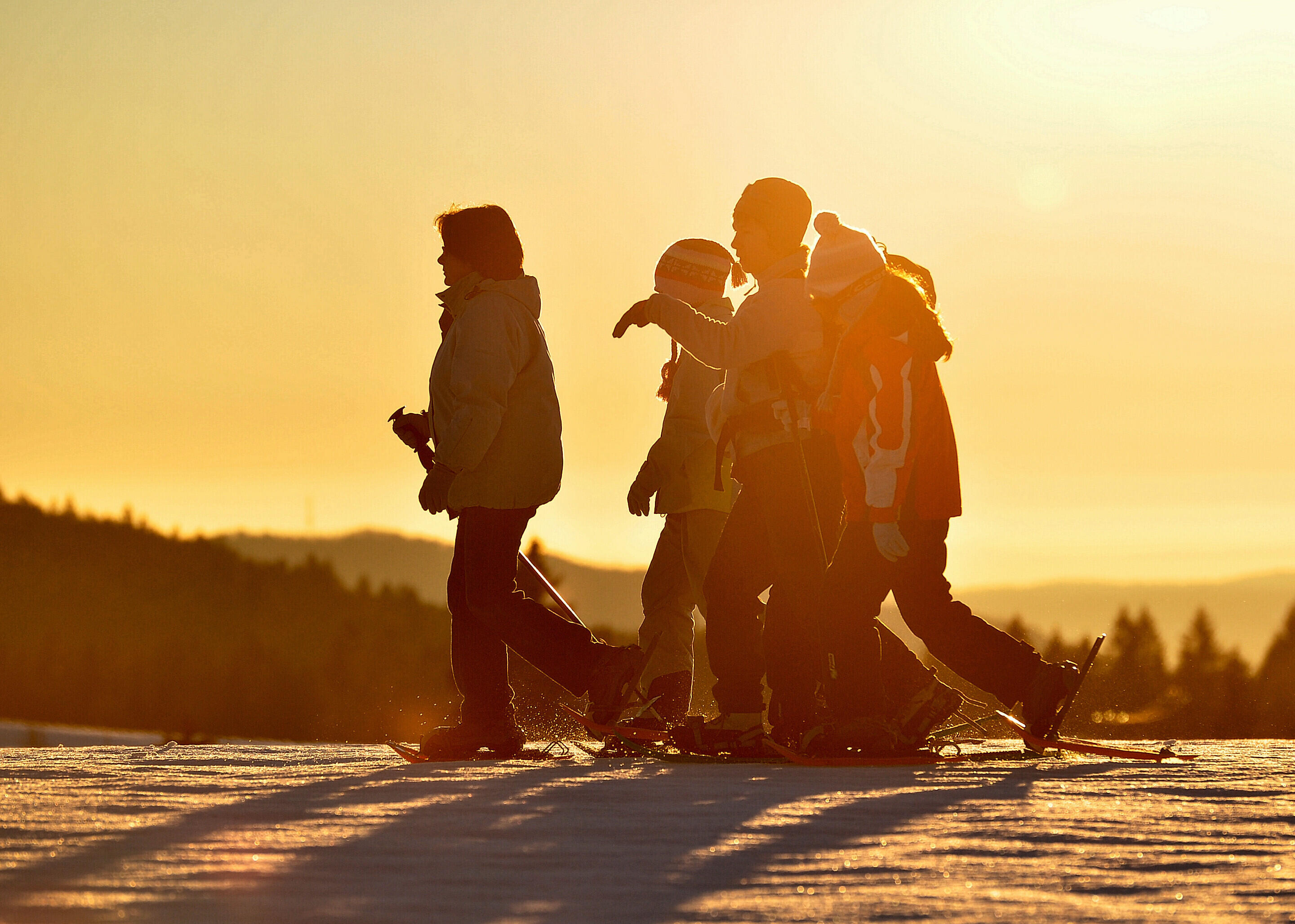 J.Carrot - ENJ 2026 (15)  Ⓒ  J.Carrot - ENJ