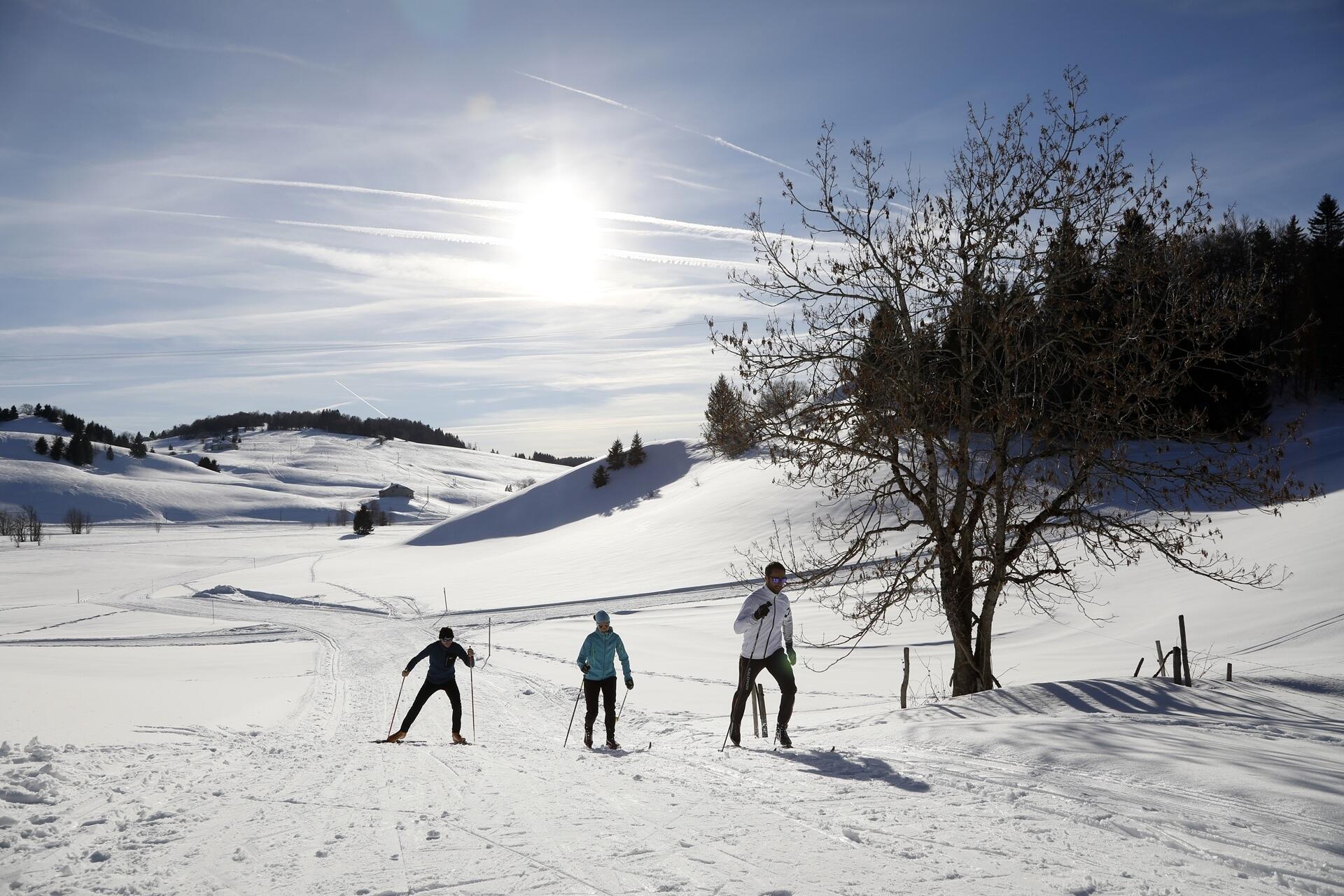 Ski de fond à Lajoux  Ⓒ  