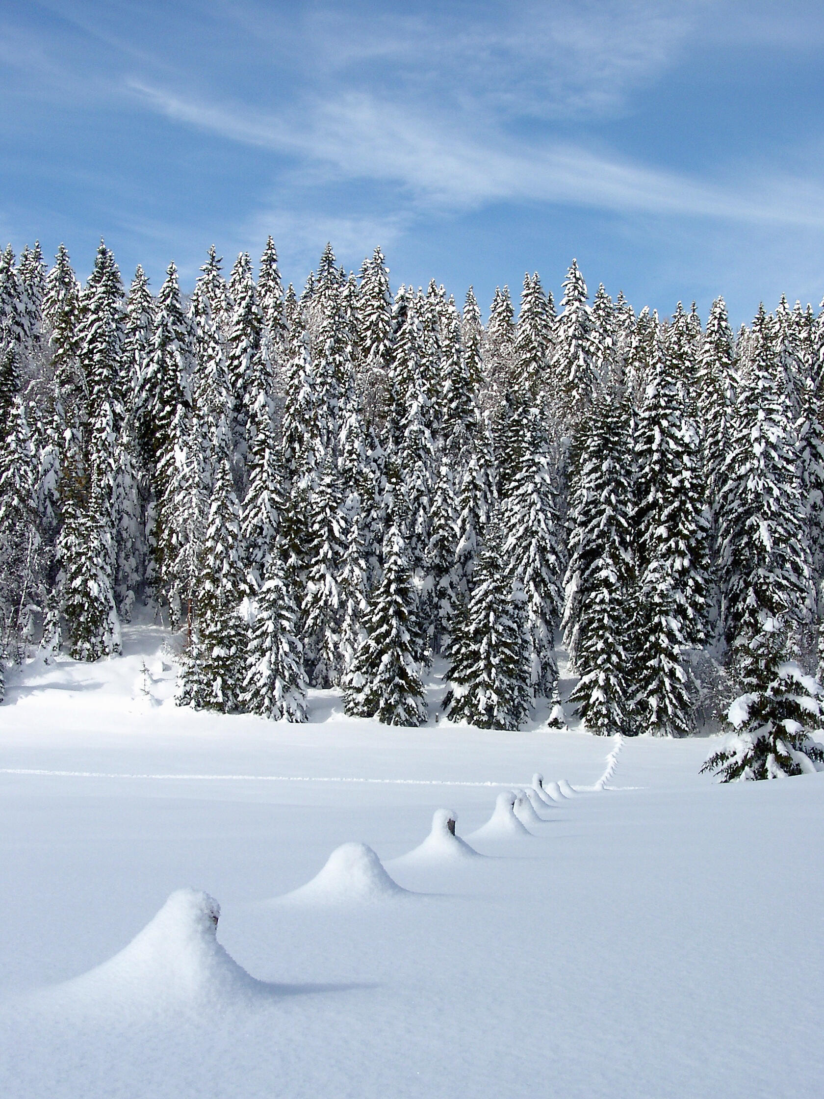 paysages montagnes du jura_Jack Carrot (3)  Ⓒ  Jack Carrot