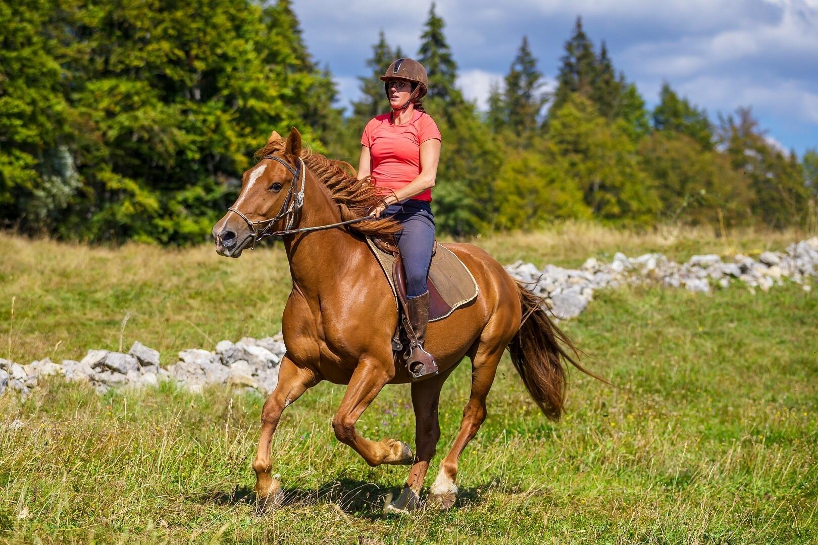 GP_Gaia Loisirs Equestres_W7  Ⓒ  www.stephane-godin.com