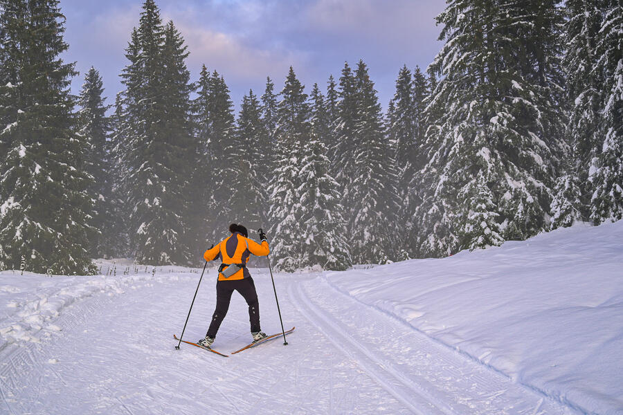 J.Carrot - ENJ 2026 (10)  Ⓒ  J.Carrot - ENJ