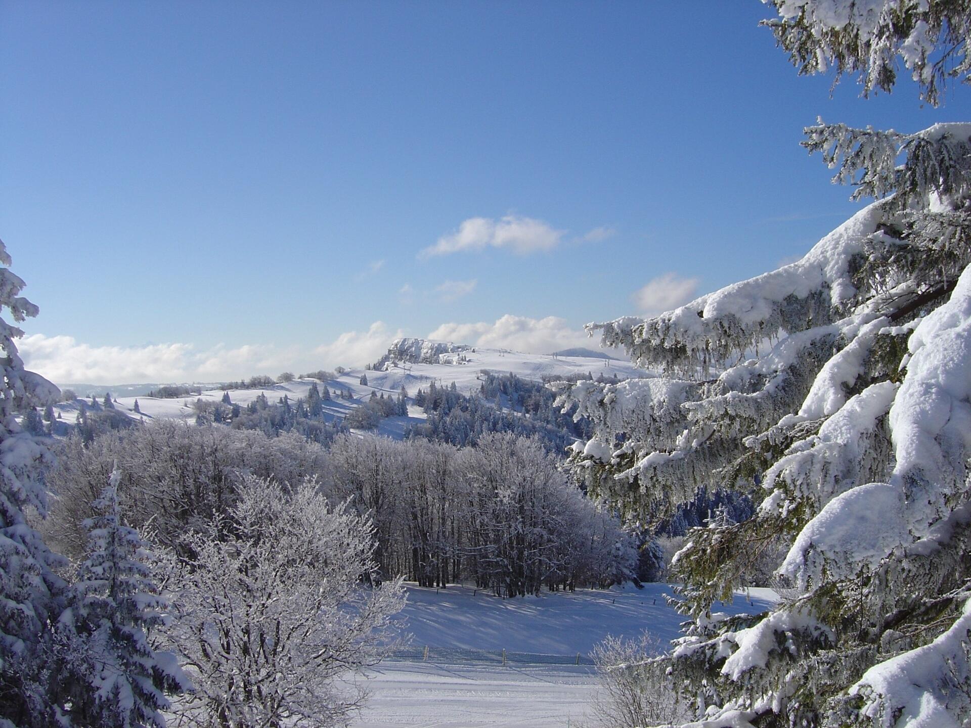 Vue sur le Mont d'Or  Ⓒ  ESF