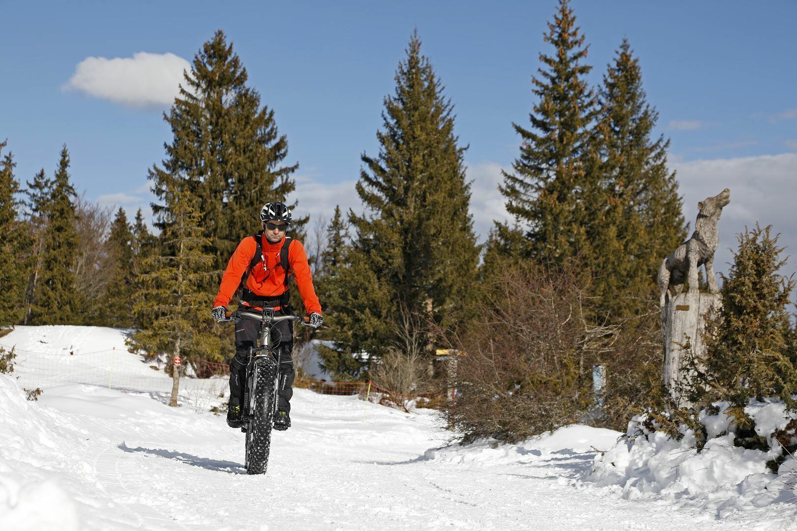 fatbike-montagnes-jura  Ⓒ  Nordic France