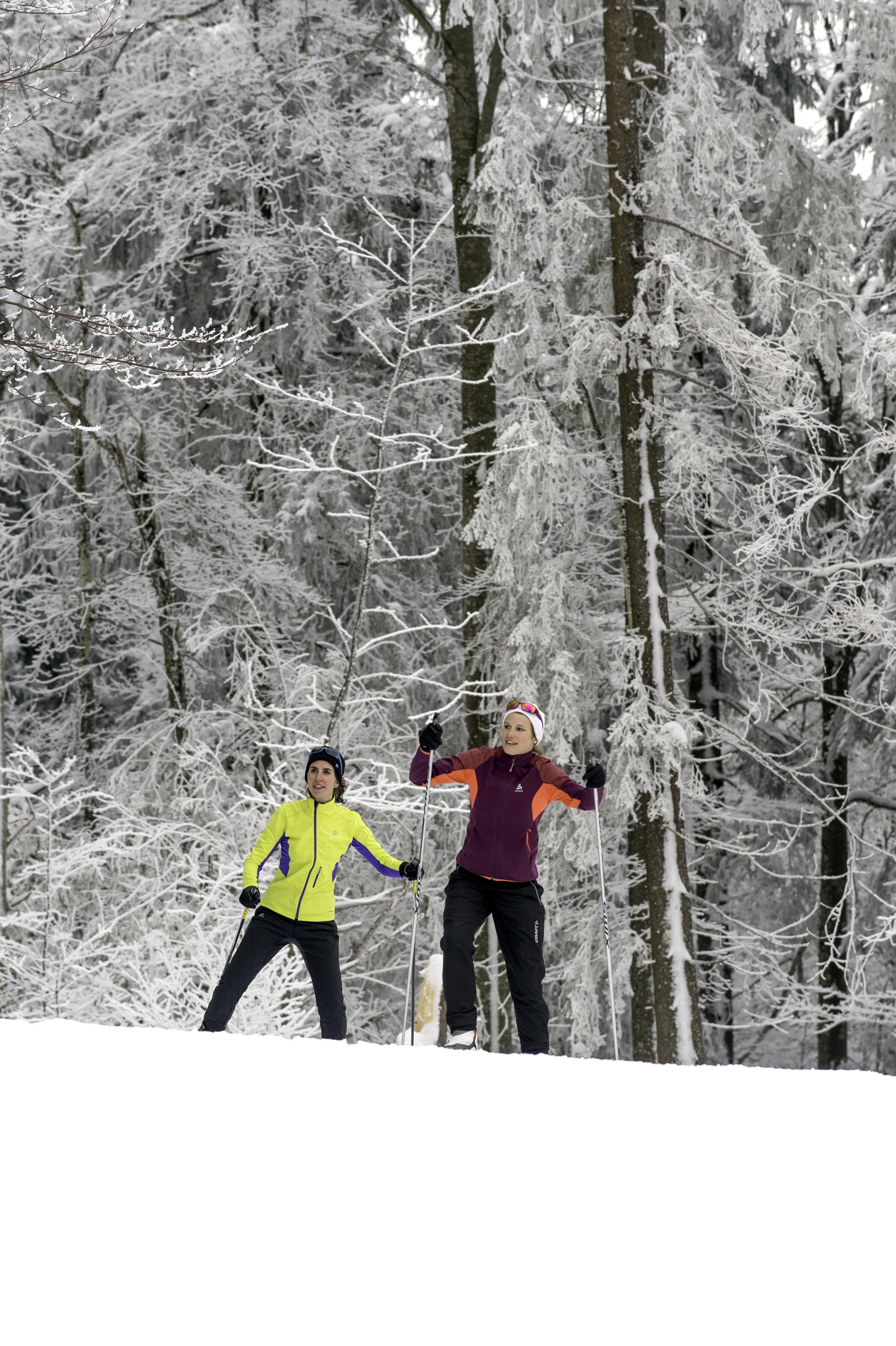  Ⓒ ©Laurent Cheviet - ENJ