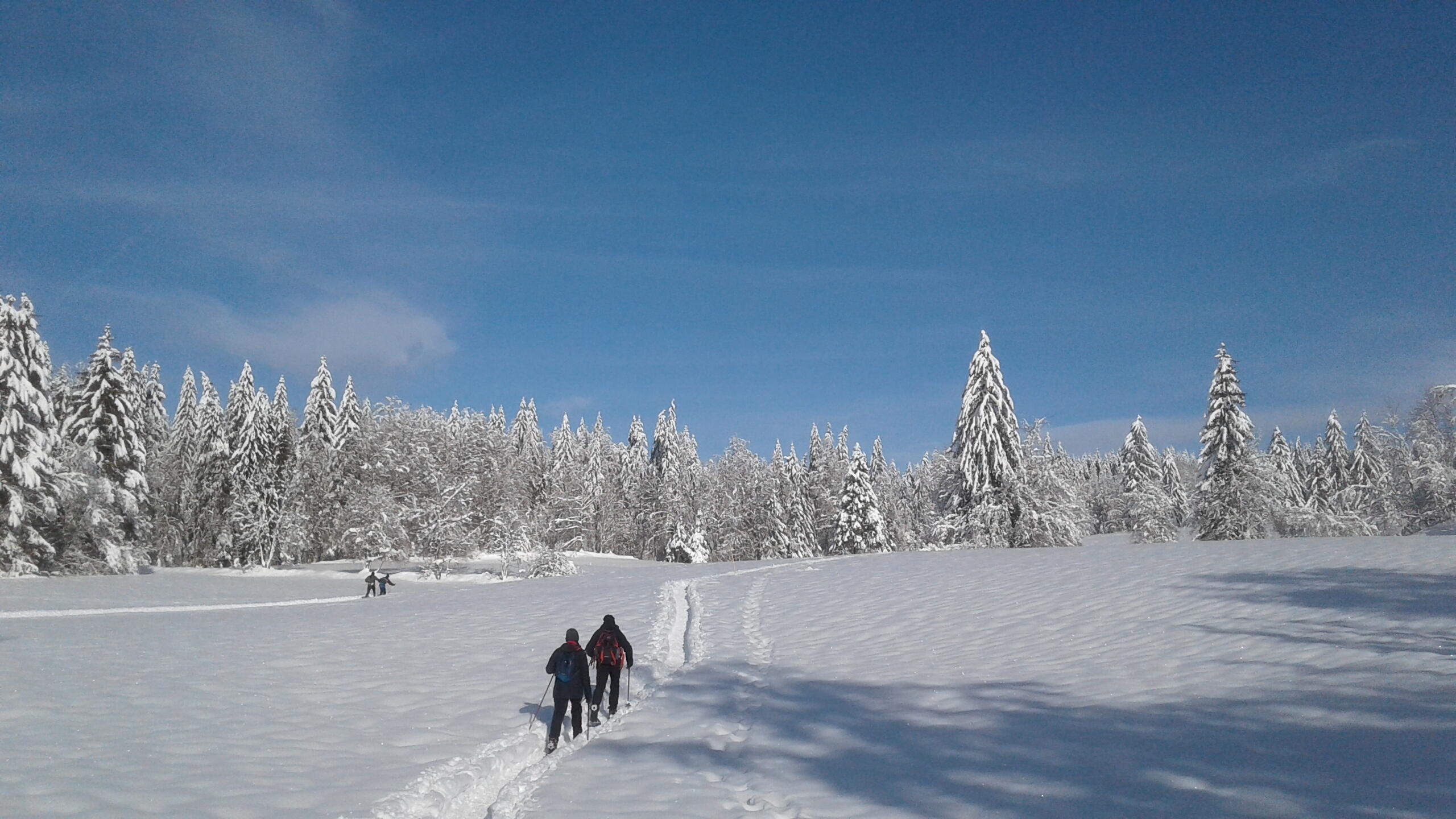 Morbier - les Marais  Ⓒ  OT Haut-Jura Arcade