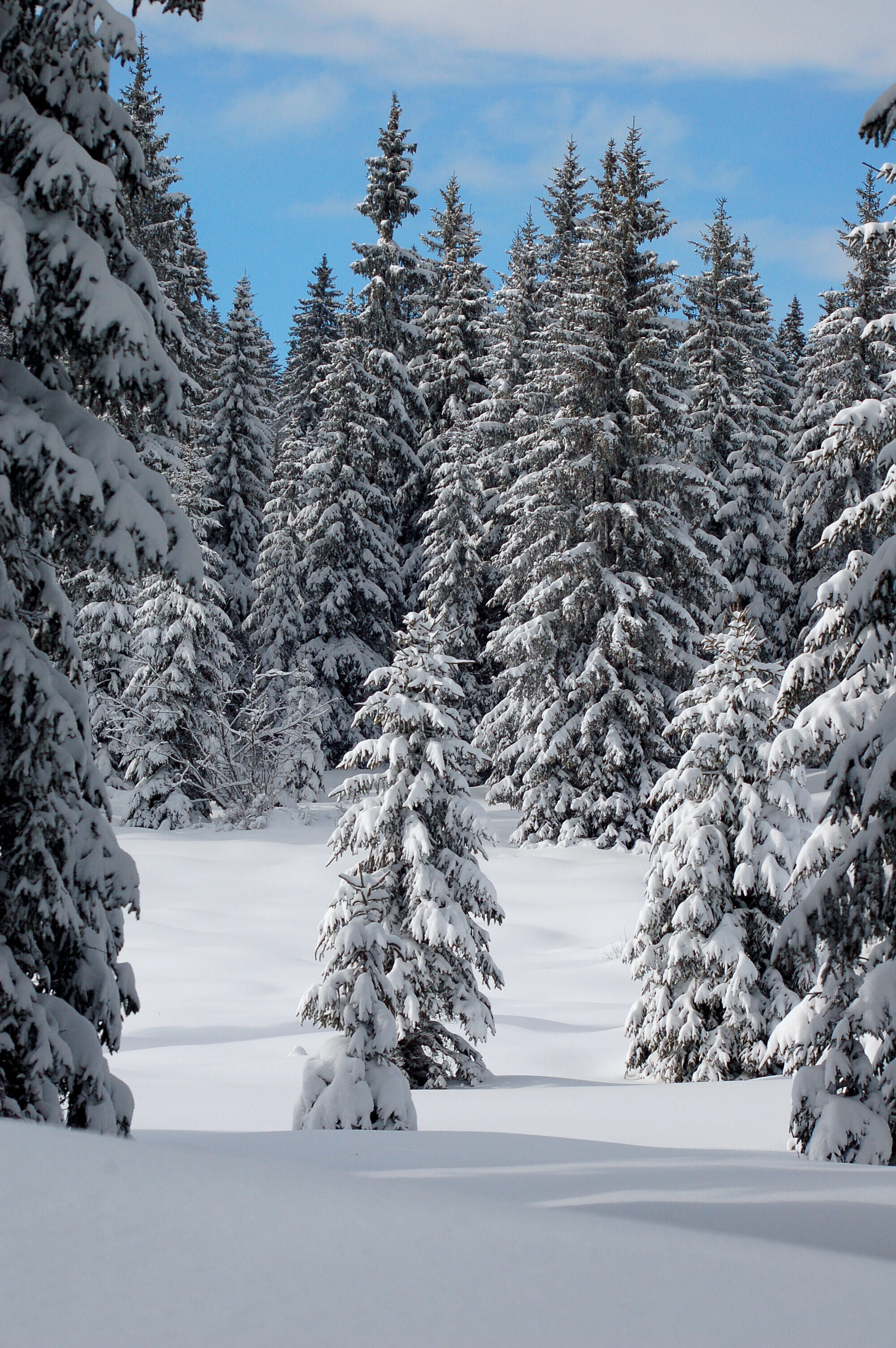 paysages montagnes du jura_Jack Carrot (27)  Ⓒ  Jack Carrot