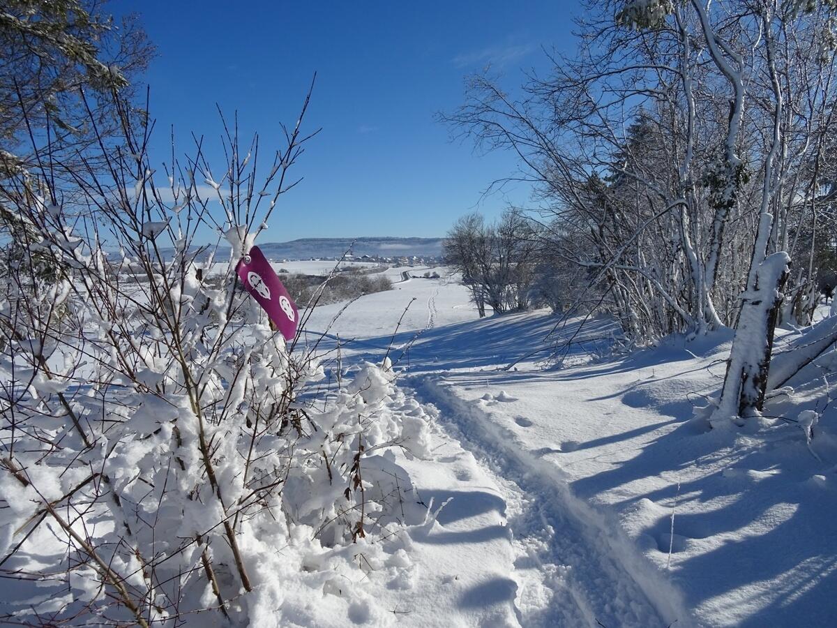 Site nordique de Frasne - Itinéraire raquettes  Ⓒ  Jean Luc Girod