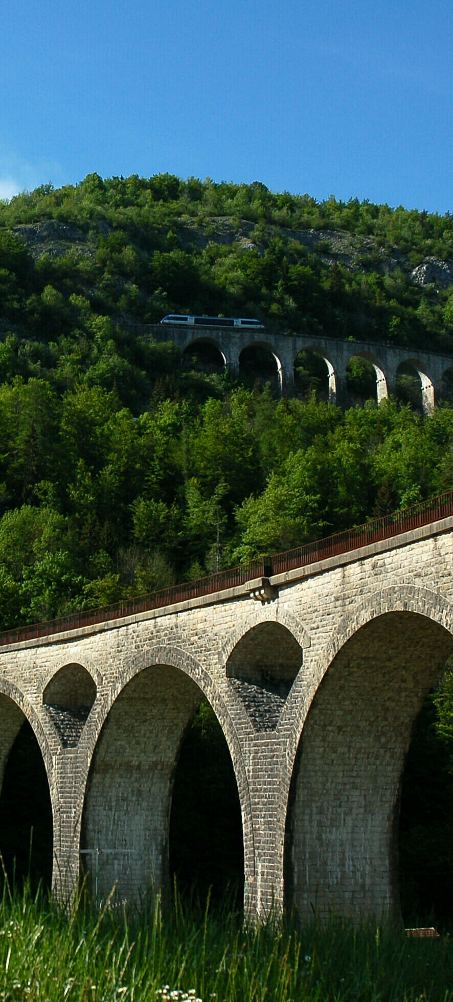 Ligne des Hirondelles  Ⓒ  J. Carrot