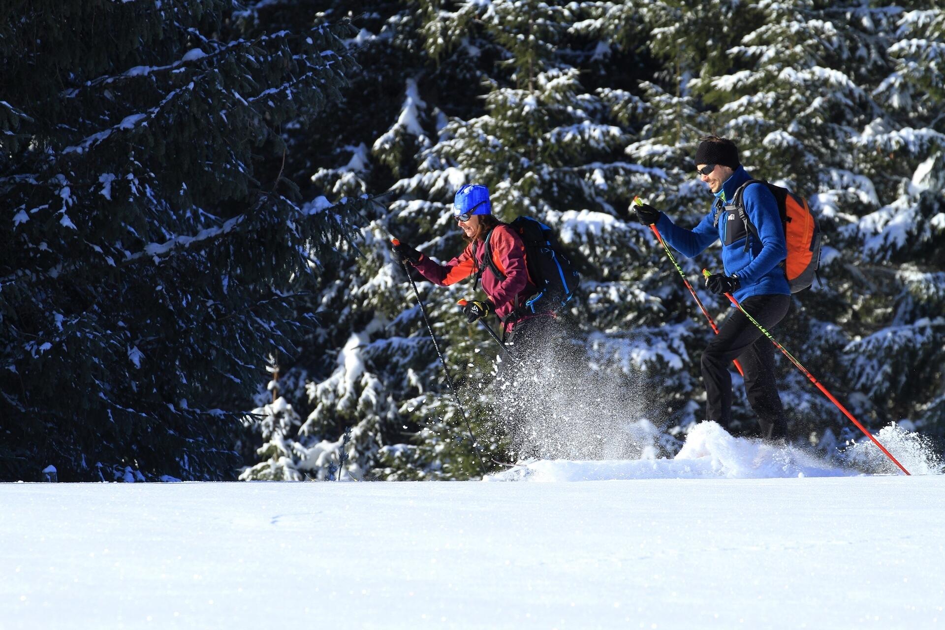ski-randonnee-nordique-montagnes-jura-CDT25-GTJ-ENJ  Ⓒ  Ph-Lebugle