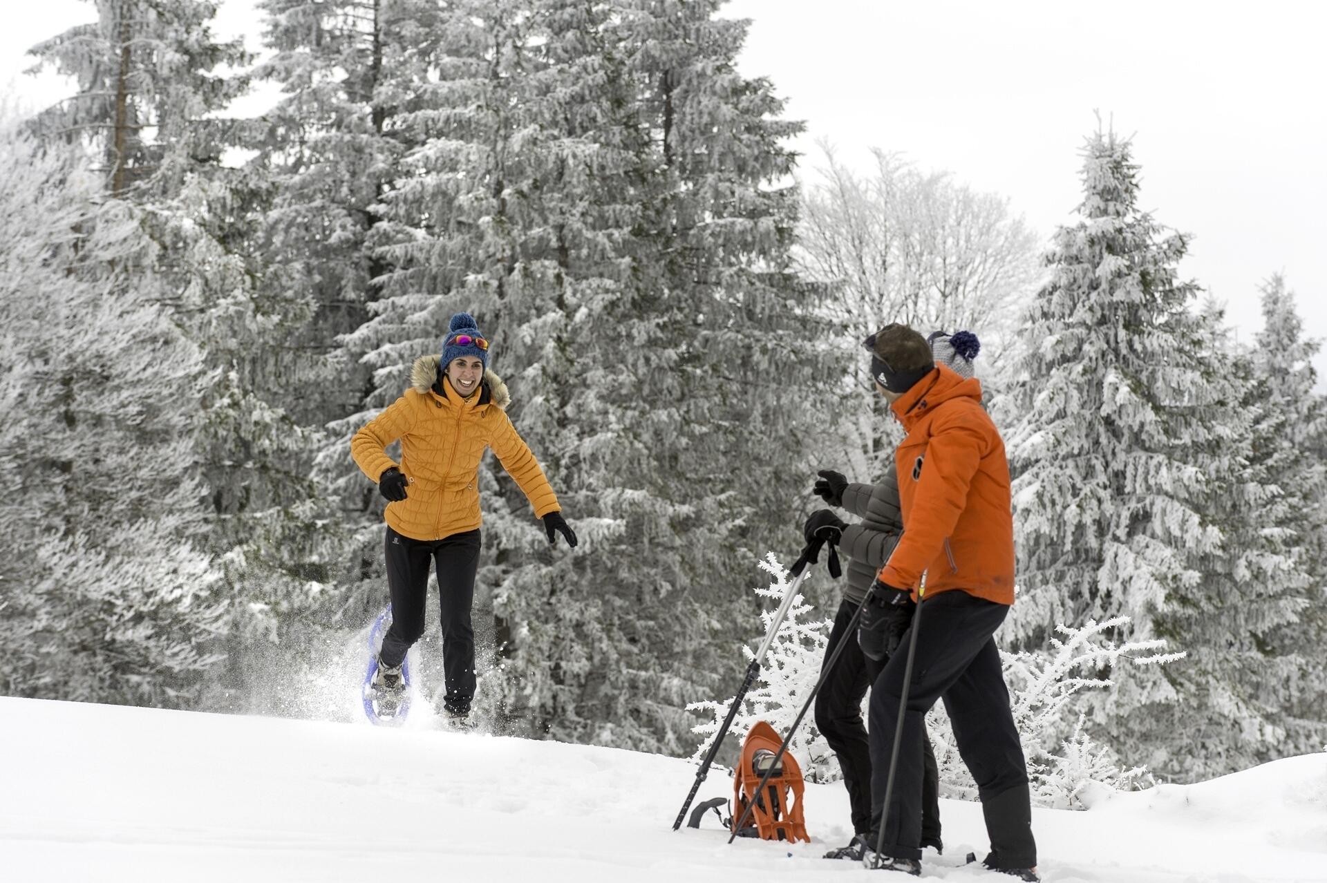 raquette-a-neige-L.Cheviet  Ⓒ  Laurent Cheviet