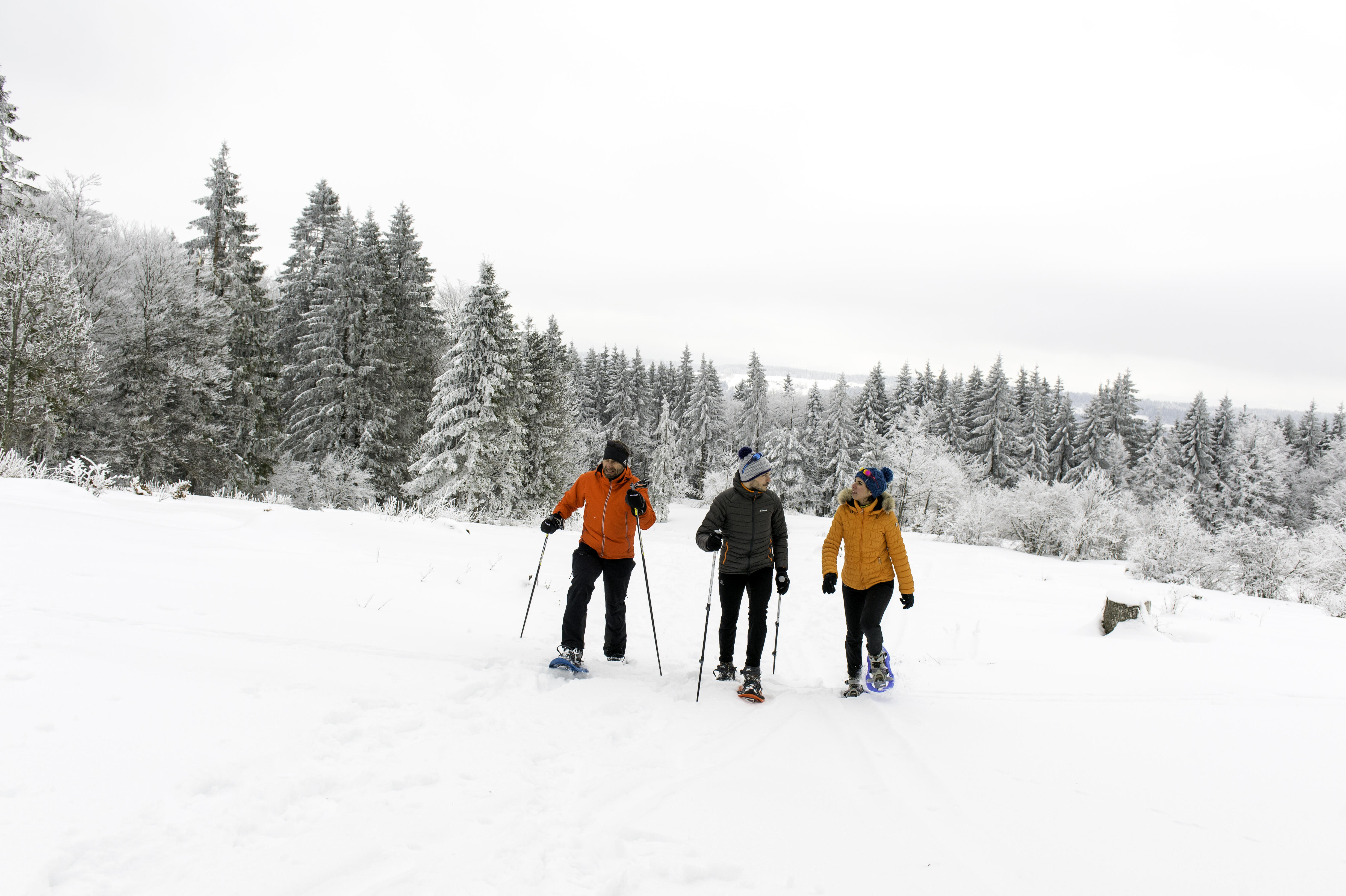  Ⓒ ©Laurent Cheviet - ENJ