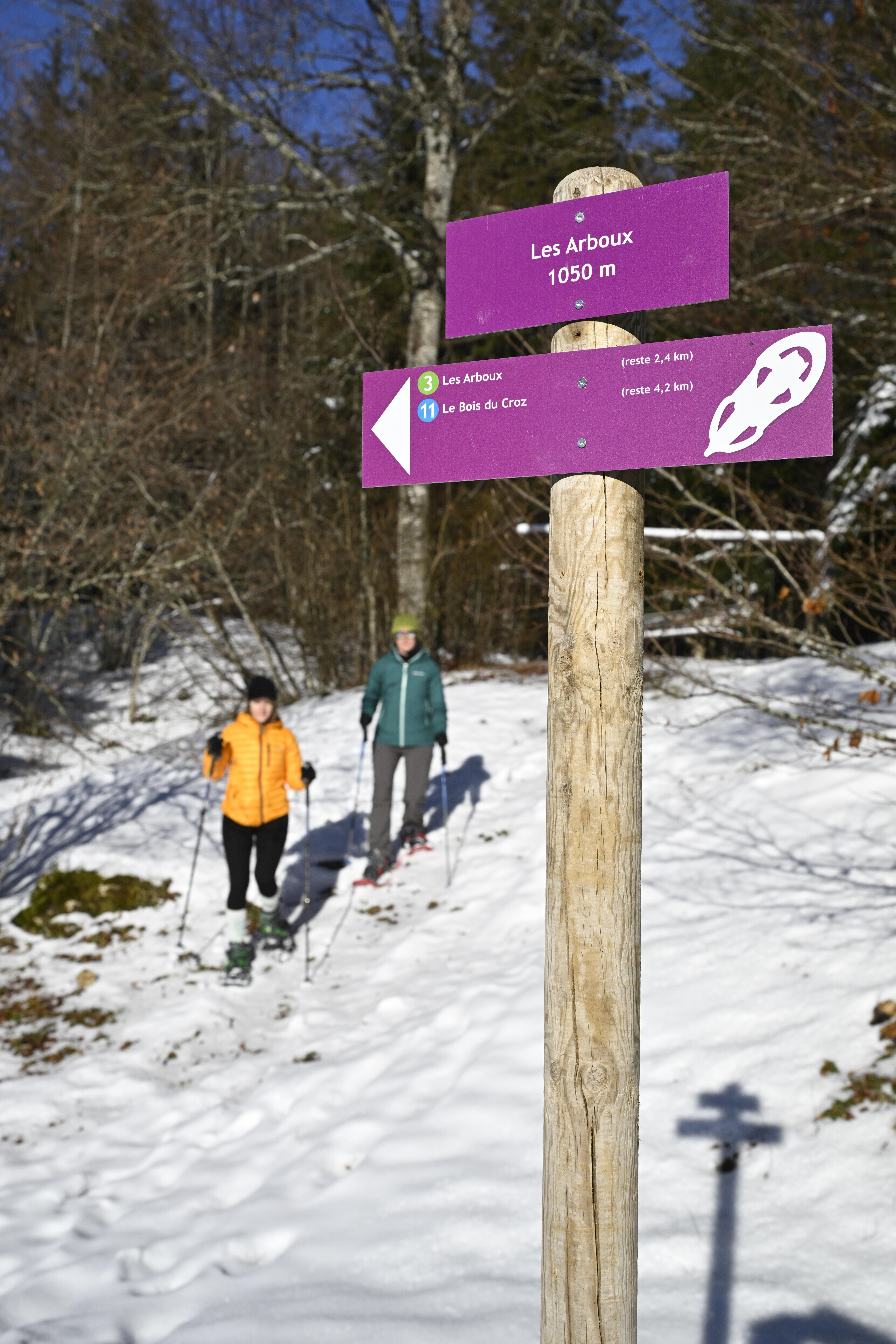 balisage raquettes  Ⓒ Laurent Cheviet (3) 