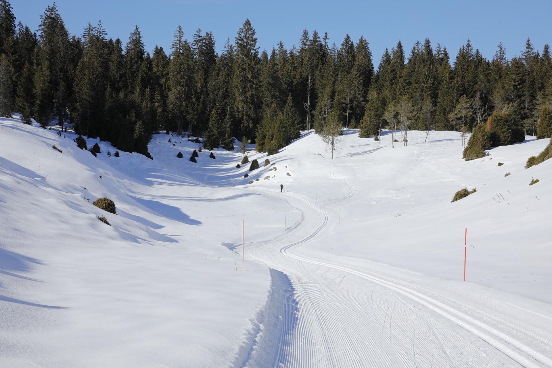 Haute Joux  Ⓒ  Weezual