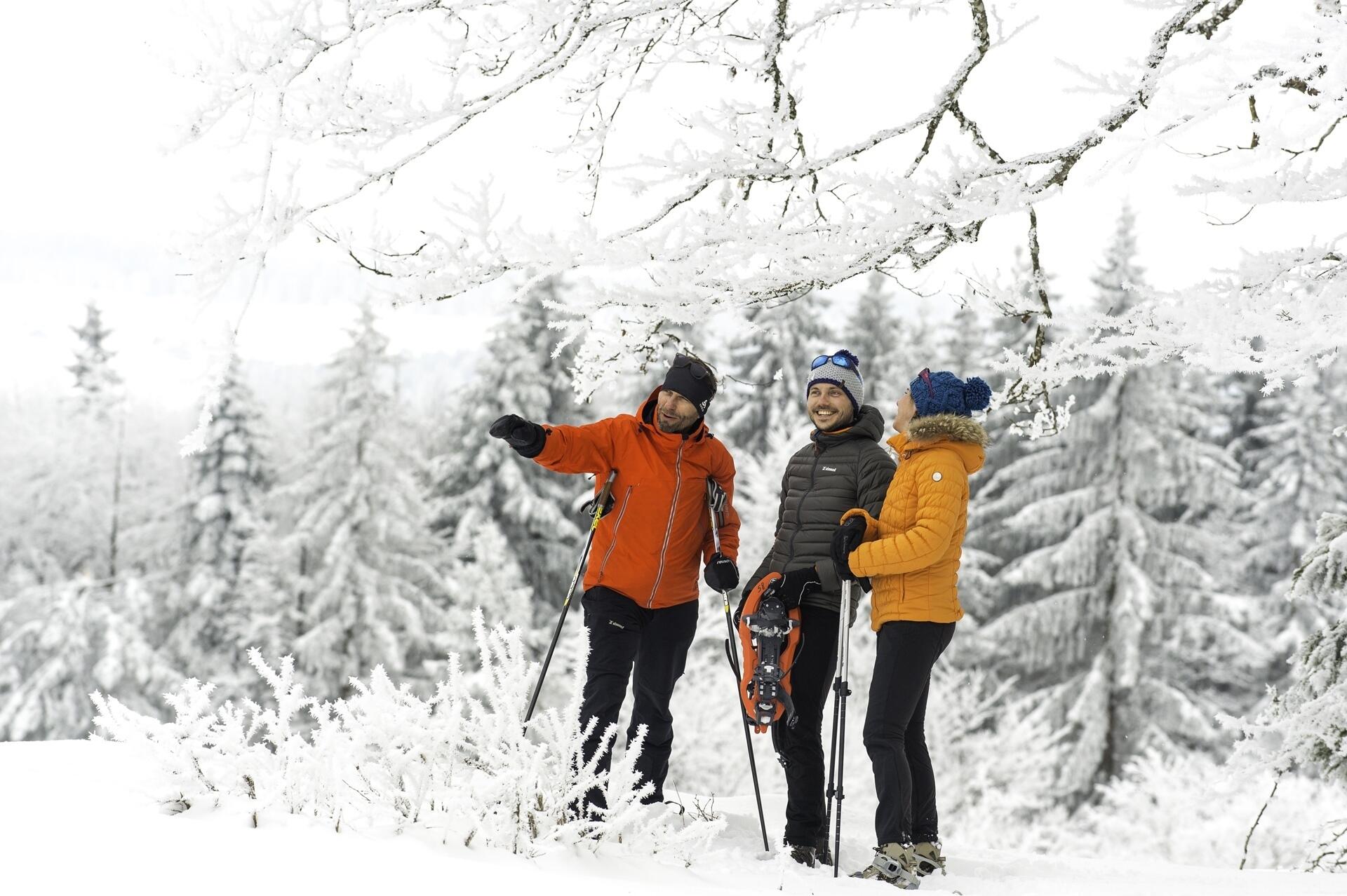 raquette-a-neige-L.Cheviet  Ⓒ  Laurent Cheviet