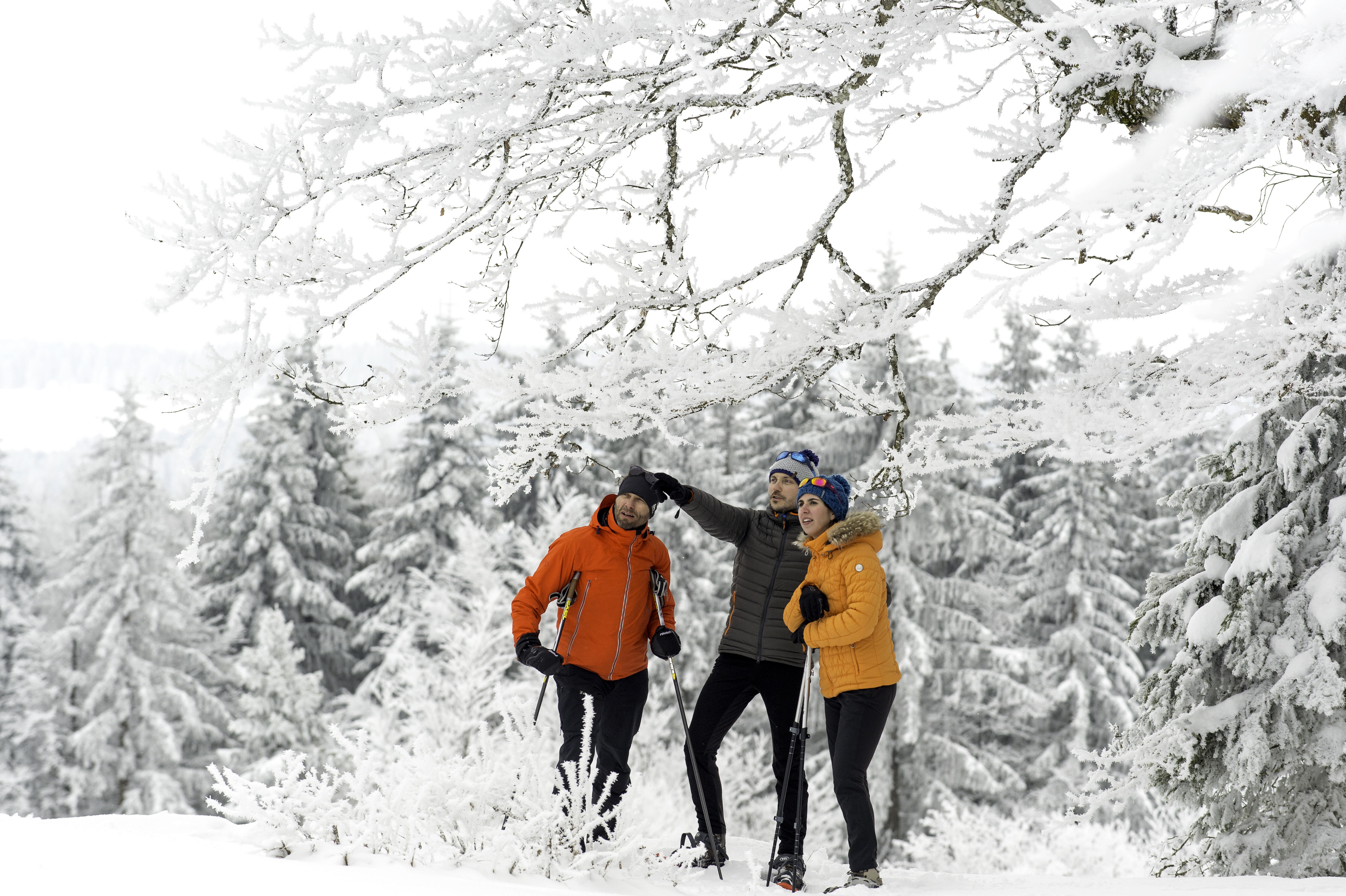 reportage-photos-2018 Ⓒ laurent-cheviet-enj (13) 