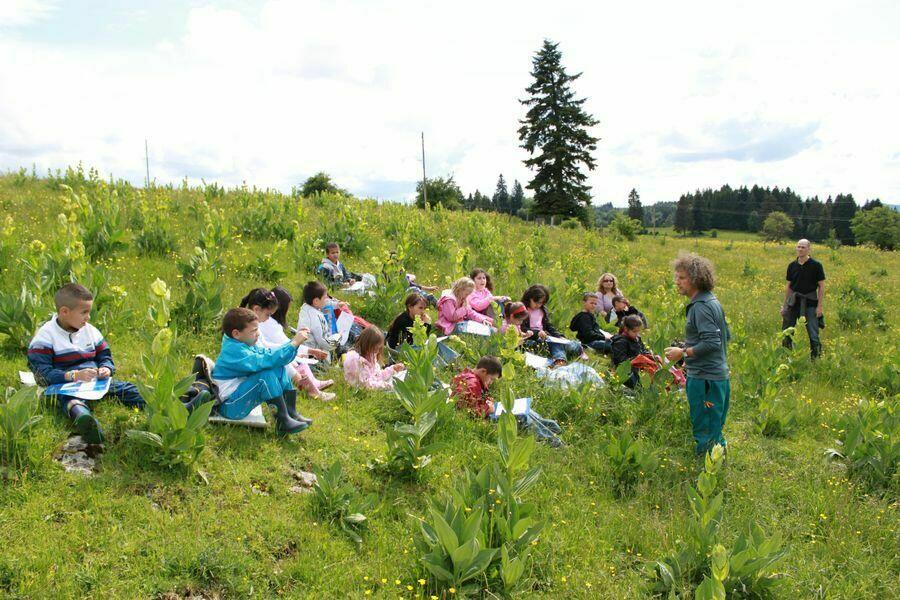  Ⓒ  REDOUTEY Emmanuel - Animation nature enfants (2) 
