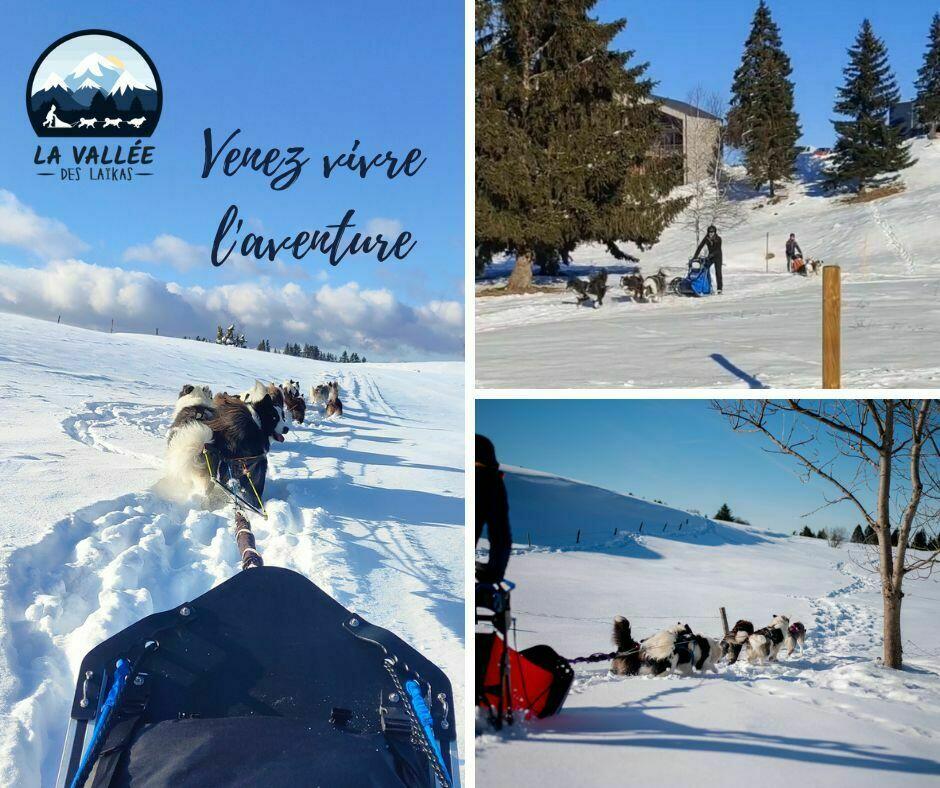 La vallée des laïkas Photo montage hiver - 1  Ⓒ  La vallée des laïkas