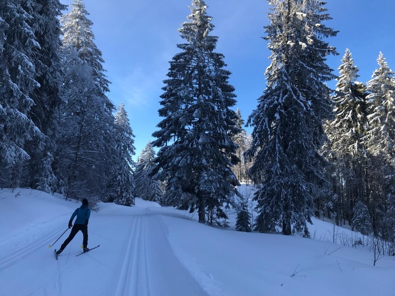 Ski de fond à La Pesse  Ⓒ  