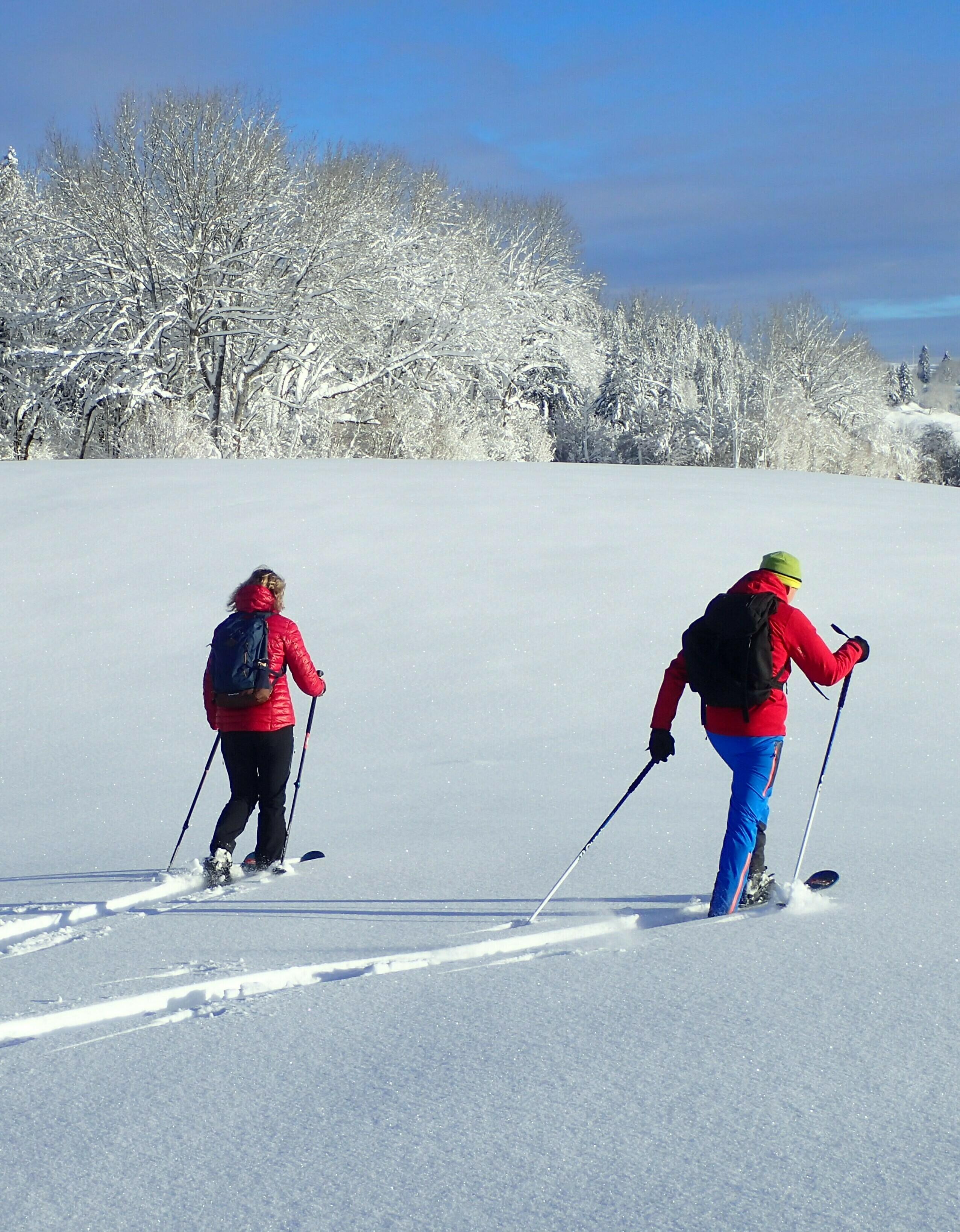 ESF Foncine - Balades à ski-raquette  Ⓒ  ESF Foncine