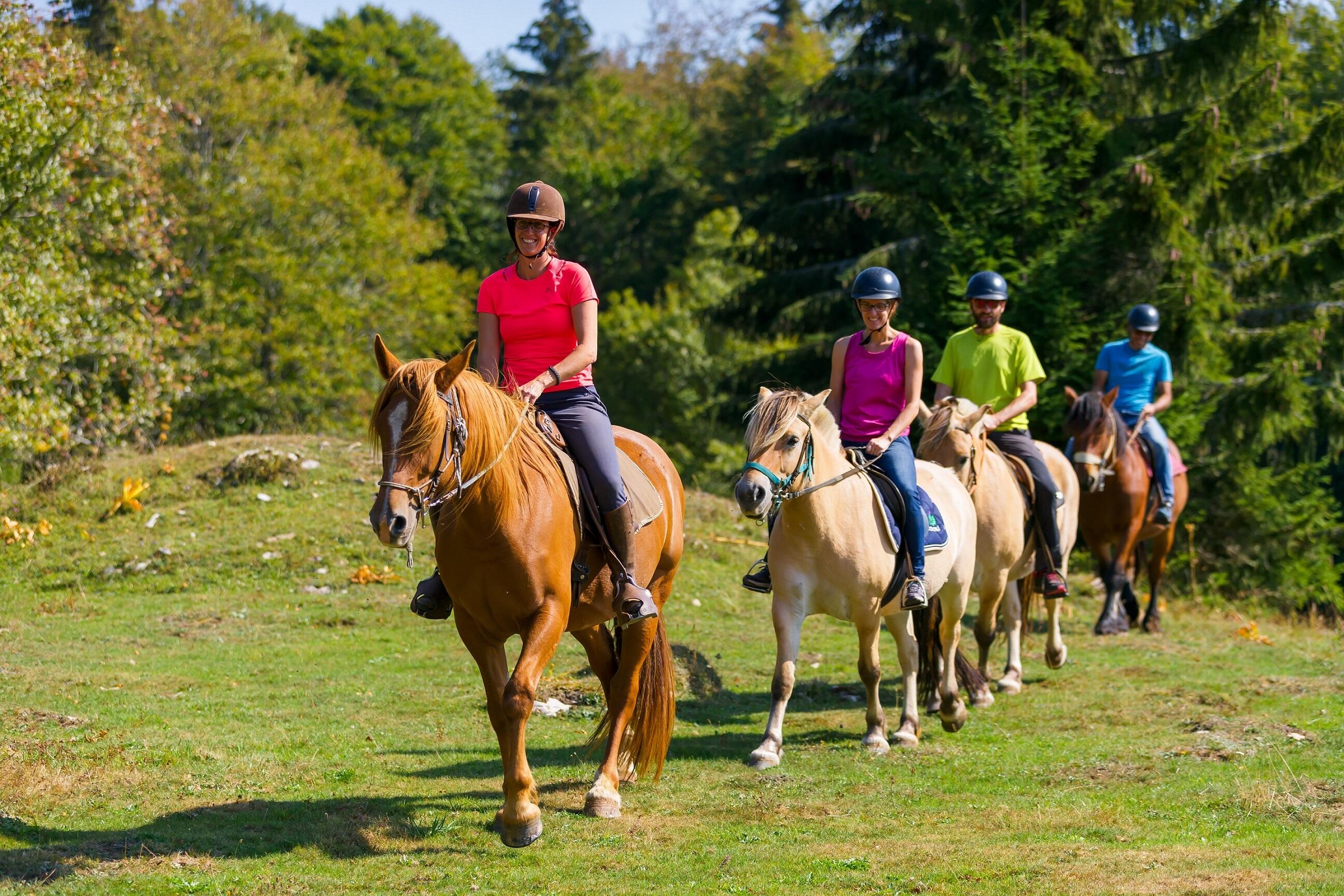 GP_Gaia Loisirs Equestres_W4  Ⓒ  www.stephane-godin.com