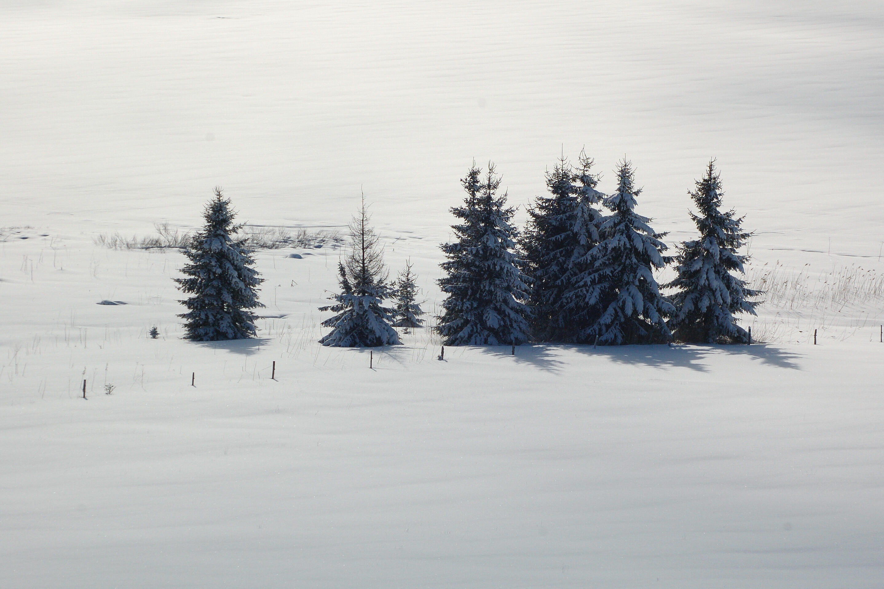 paysages montagnes du jura_Jack Carrot (28)  Ⓒ  Jack Carrot