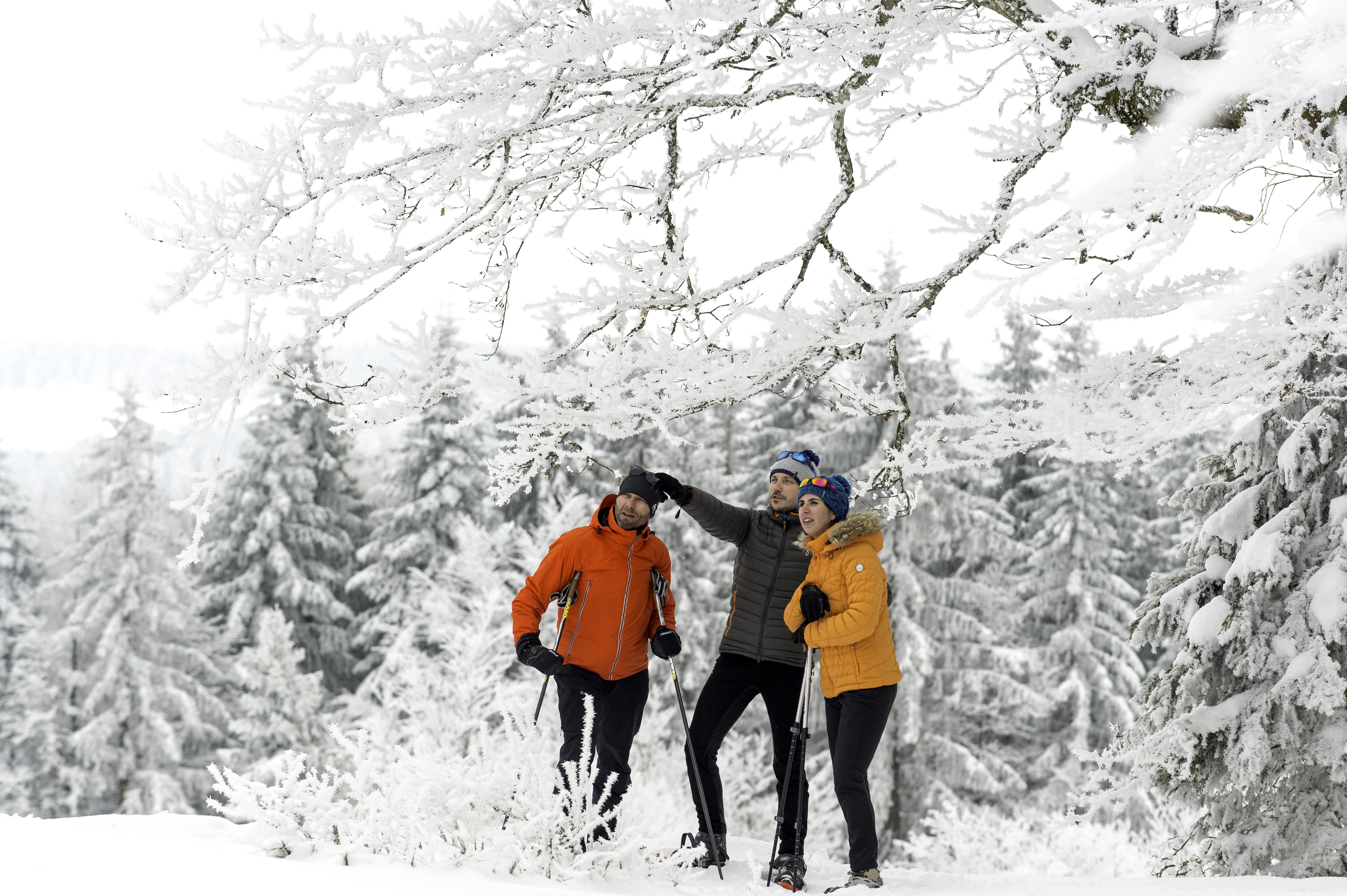  Ⓒ ©Laurent Cheviet - ENJ