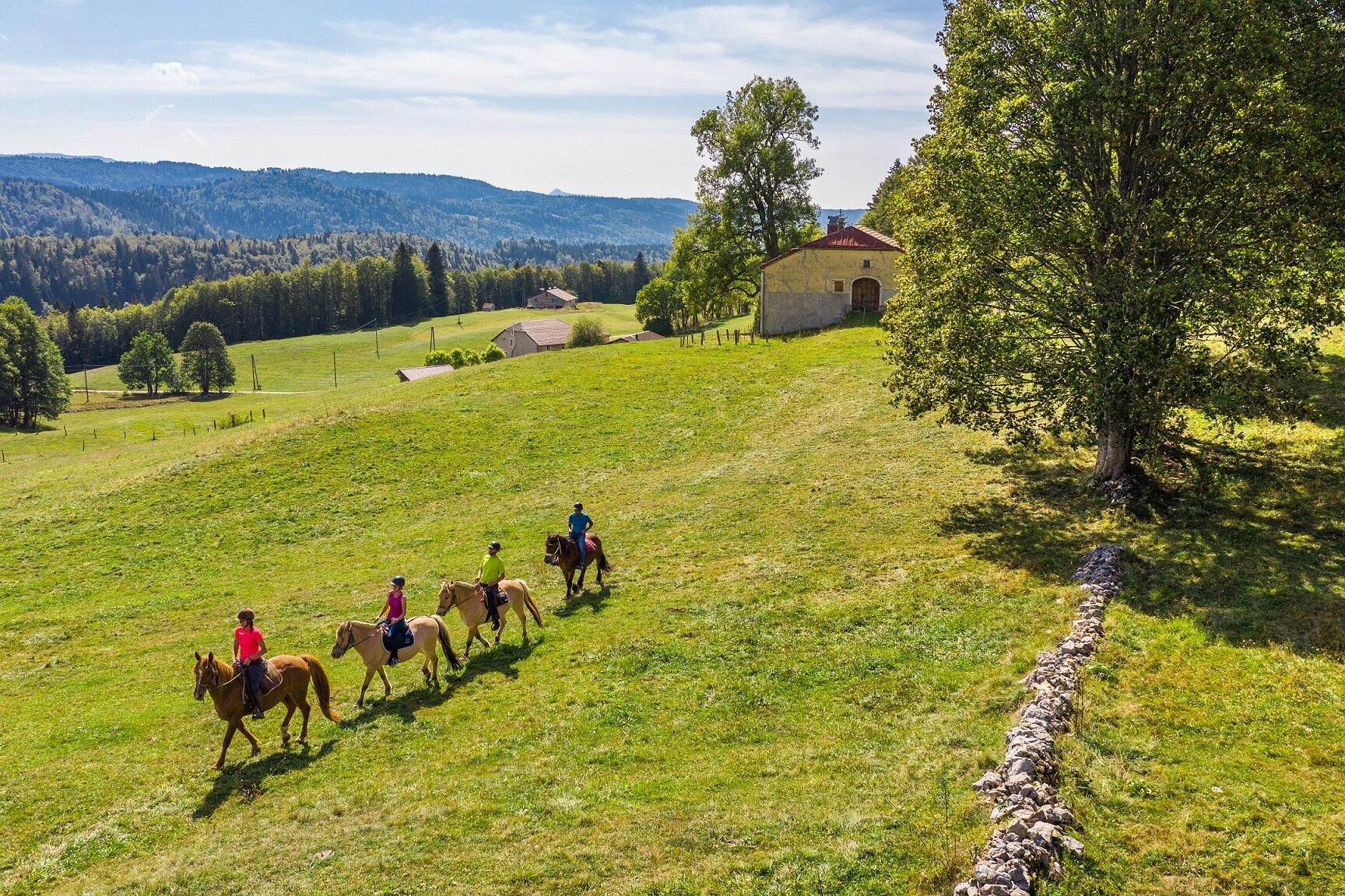 GP_Gaia Loisirs Equestres_W1  Ⓒ  Stéphane GODIN