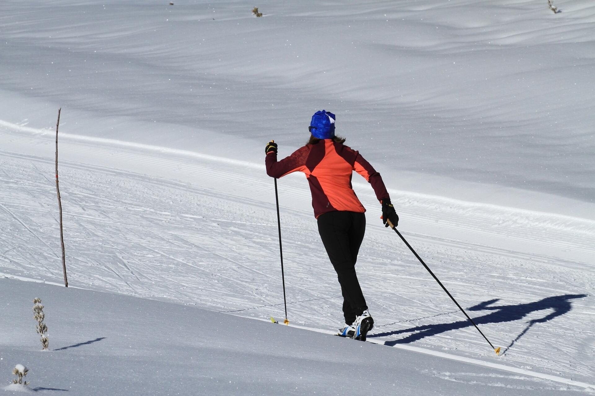 ski-nordique-Ph-Lebugle--CDT25-GTJ-ENJ  Ⓒ  Ph-Lebugle--CDT25-GTJ-ENJ