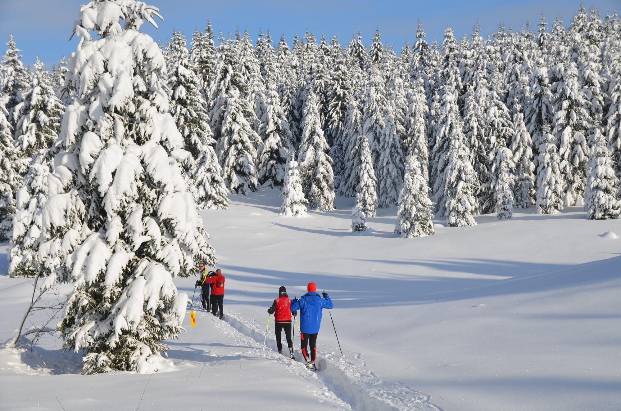 Site nordique de Frasne - Piste raquette  Ⓒ  Jean Luc Girod