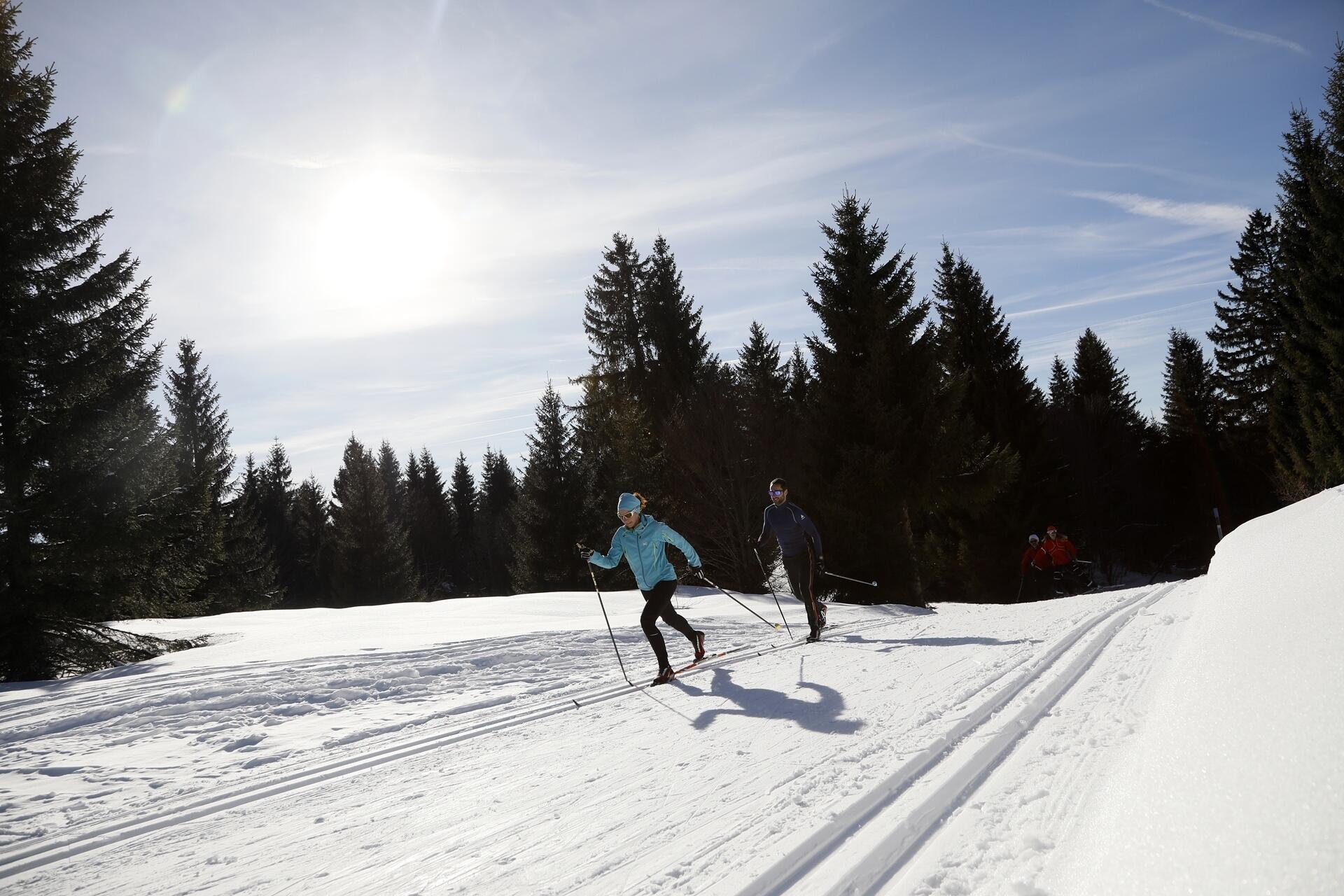 Ski de fond dans les Hautes Combes  Ⓒ  