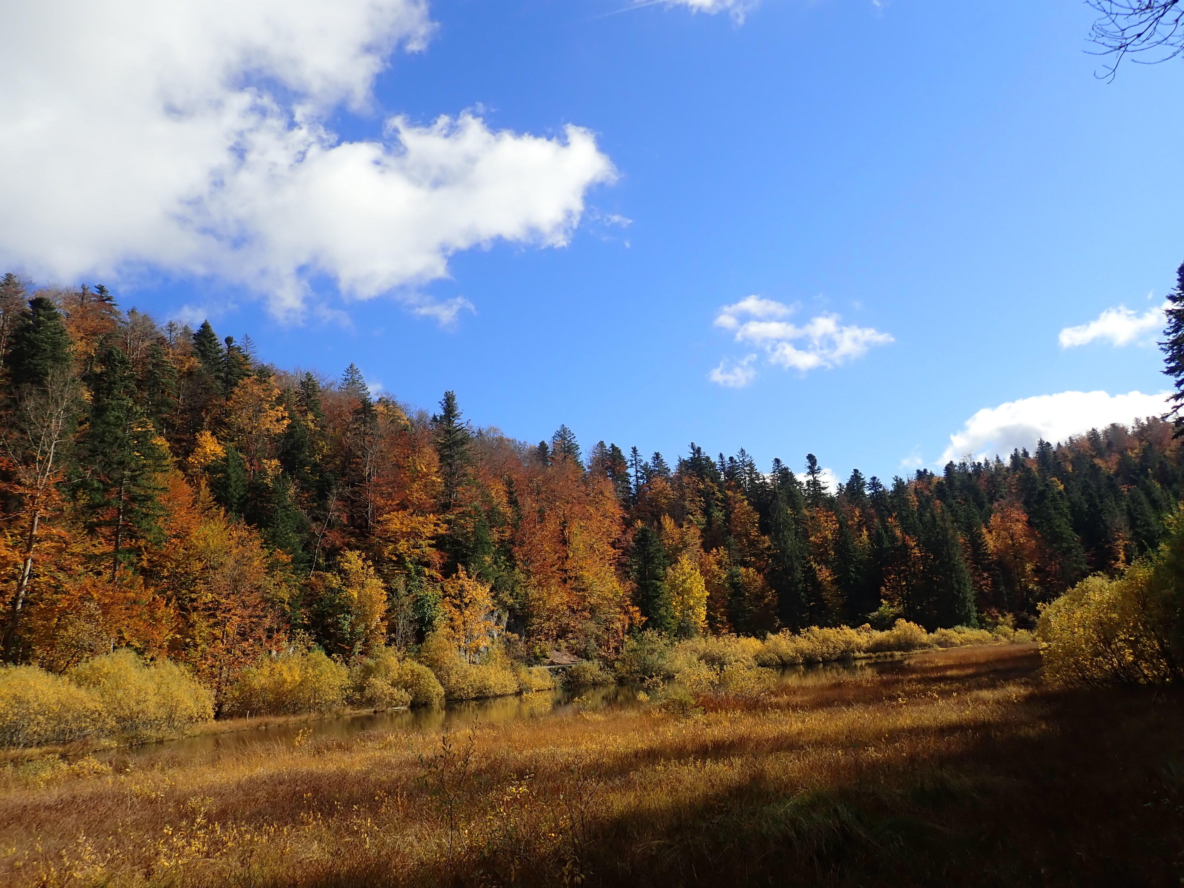 L'été Indien du Haut-Jura  Ⓒ  Olivier FAIVRE