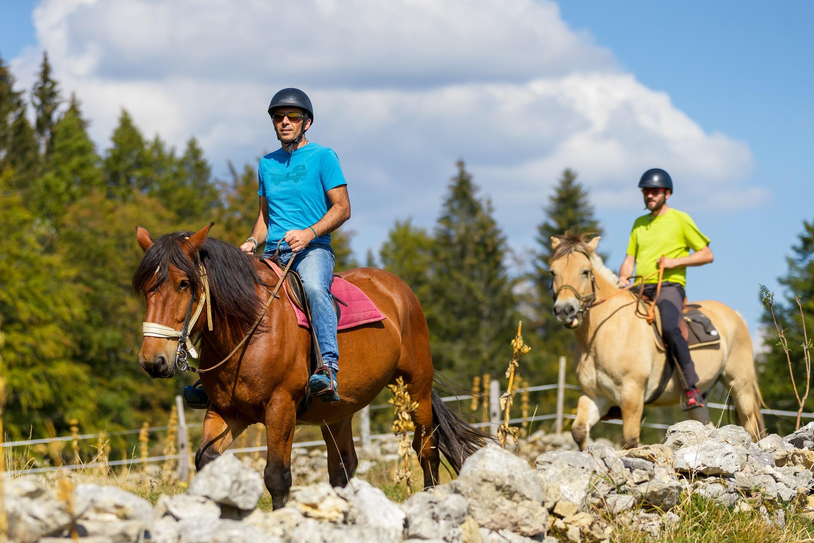 GP_Gaia Loisirs Equestres_W10  Ⓒ  www.stephane-godin.com