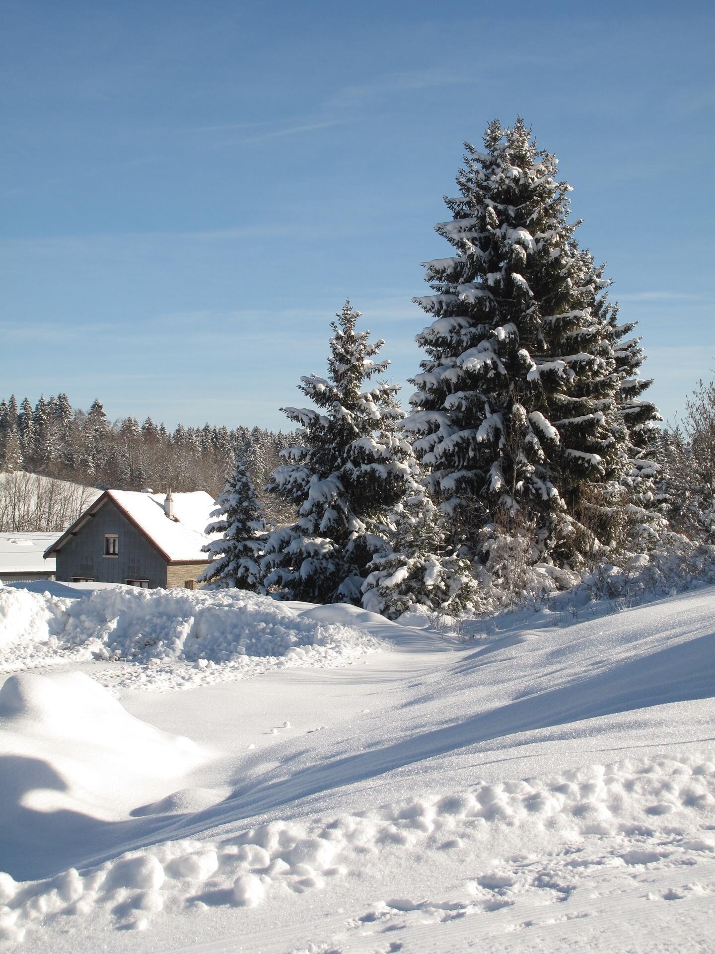 Paysages du Grandvaux  Ⓒ  Ot Haut Jura Grandvaux