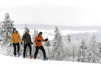 ©Laurent Cheviet ©Laurent Cheviet