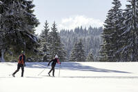 Ski de fond dans les Montagnes du Jura Ski de fond dans les Montagnes du Jura