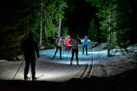 ©Jack Carrot / ENJ ©Jack Carrot / ENJ