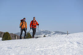 ©Jack Carrot / ENJ ©Jack Carrot / ENJ