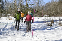 Raquettes à neige dans les Montagnes du Jura Raquettes à neige dans les Montagnes du Jura