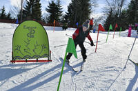 ©Laurent Cheviet ©Laurent Cheviet