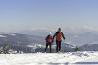 ©Laurent Cheviet ©Laurent Cheviet