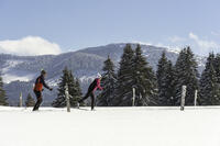 ©Laurent Cheviet ©Laurent Cheviet